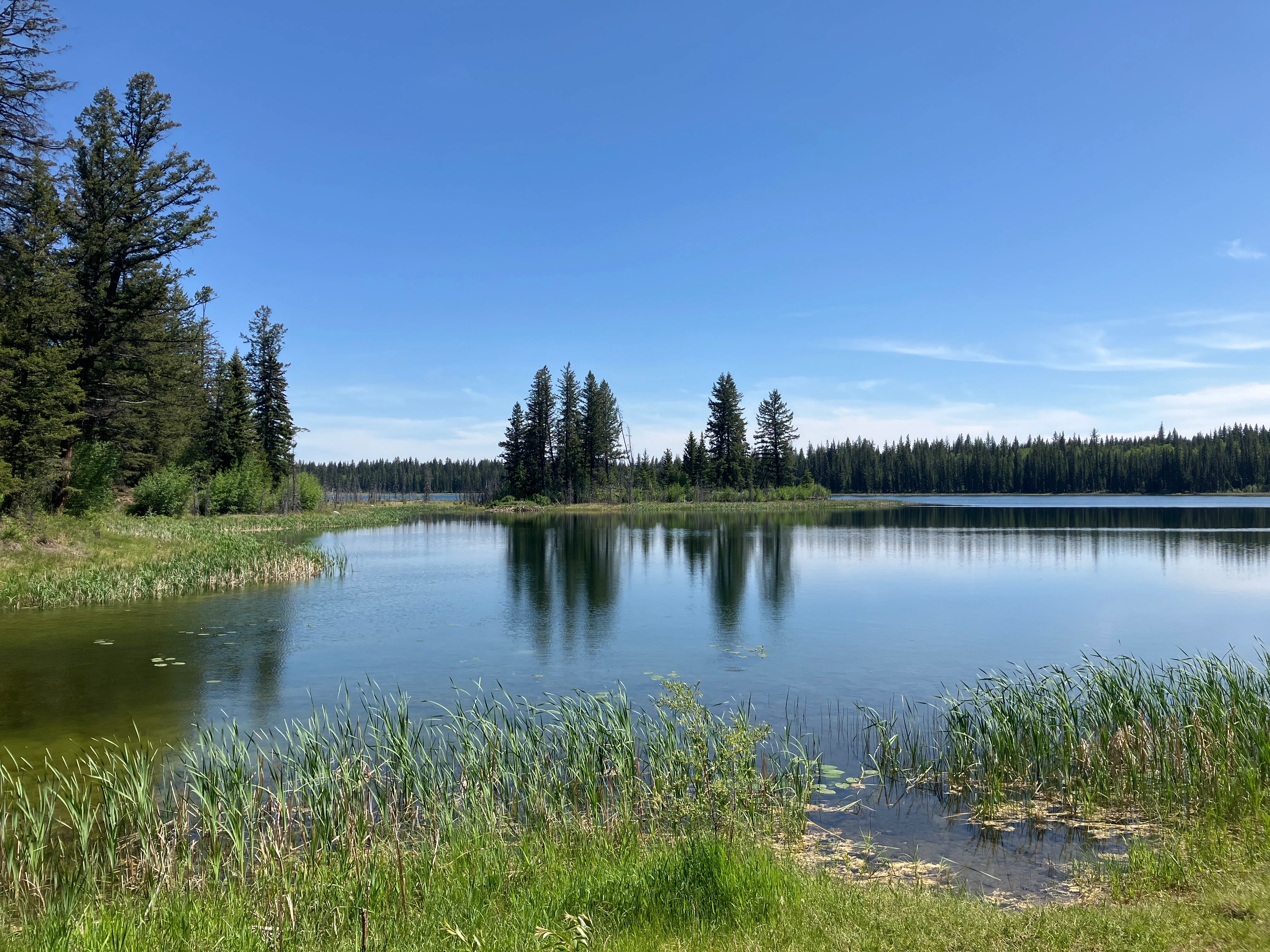 Photo: Recreation Sites and Trails BC. © Province of British Columbia, licensed under the Open Government Licence – British Columbia. Twan Lake