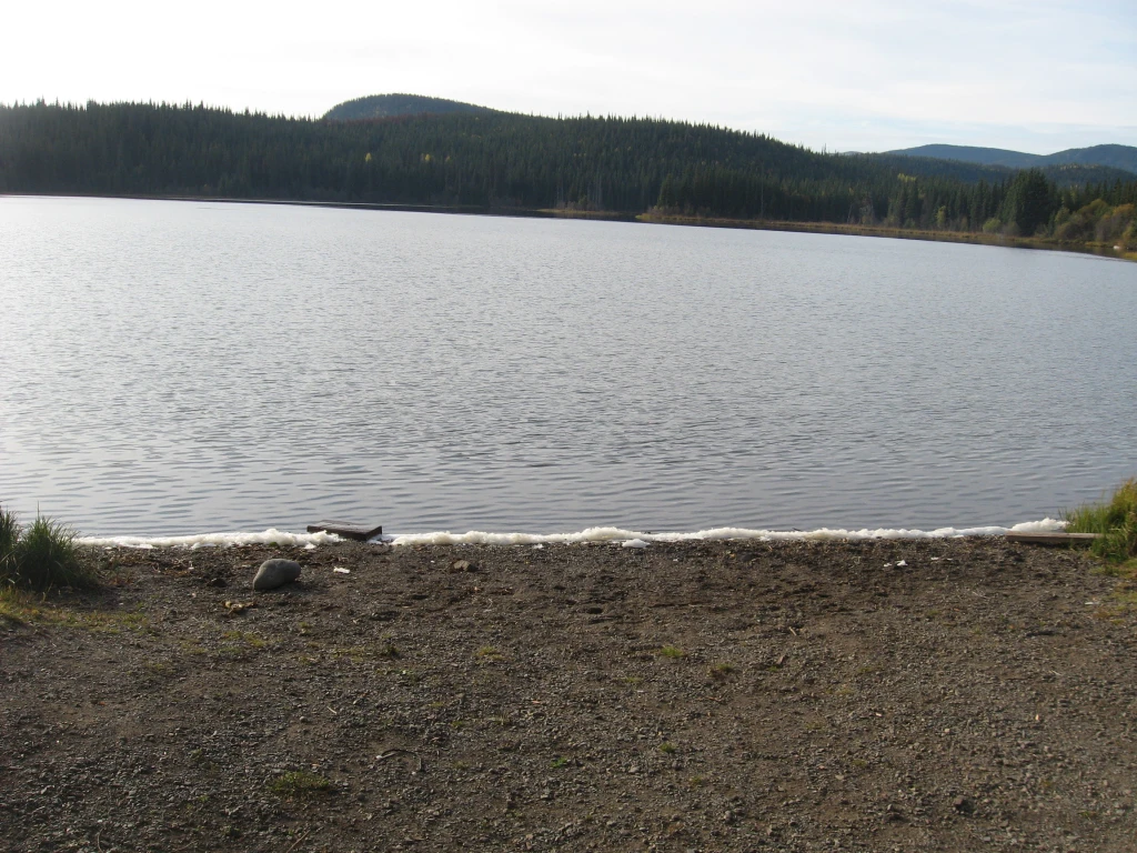 Photo: Recreation Sites and Trails BC. © Province of British Columbia, licensed under the Open Government Licence – British Columbia. Morice Mtn Nordic Ski Club Trails, photo 5