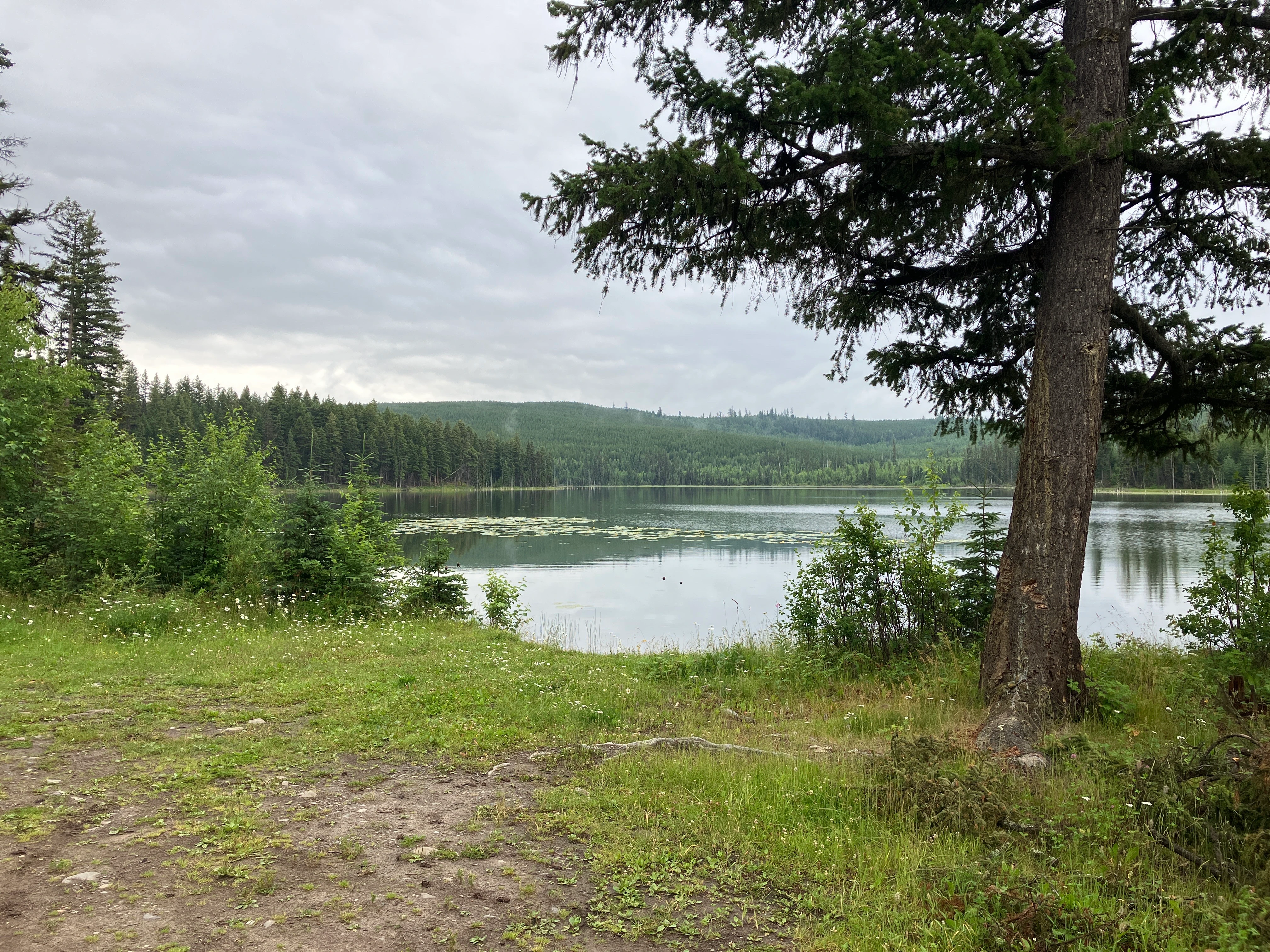 Photo: Recreation Sites and Trails BC. © Province of British Columbia, licensed under the Open Government Licence – British Columbia. Boot Lake, photo 5