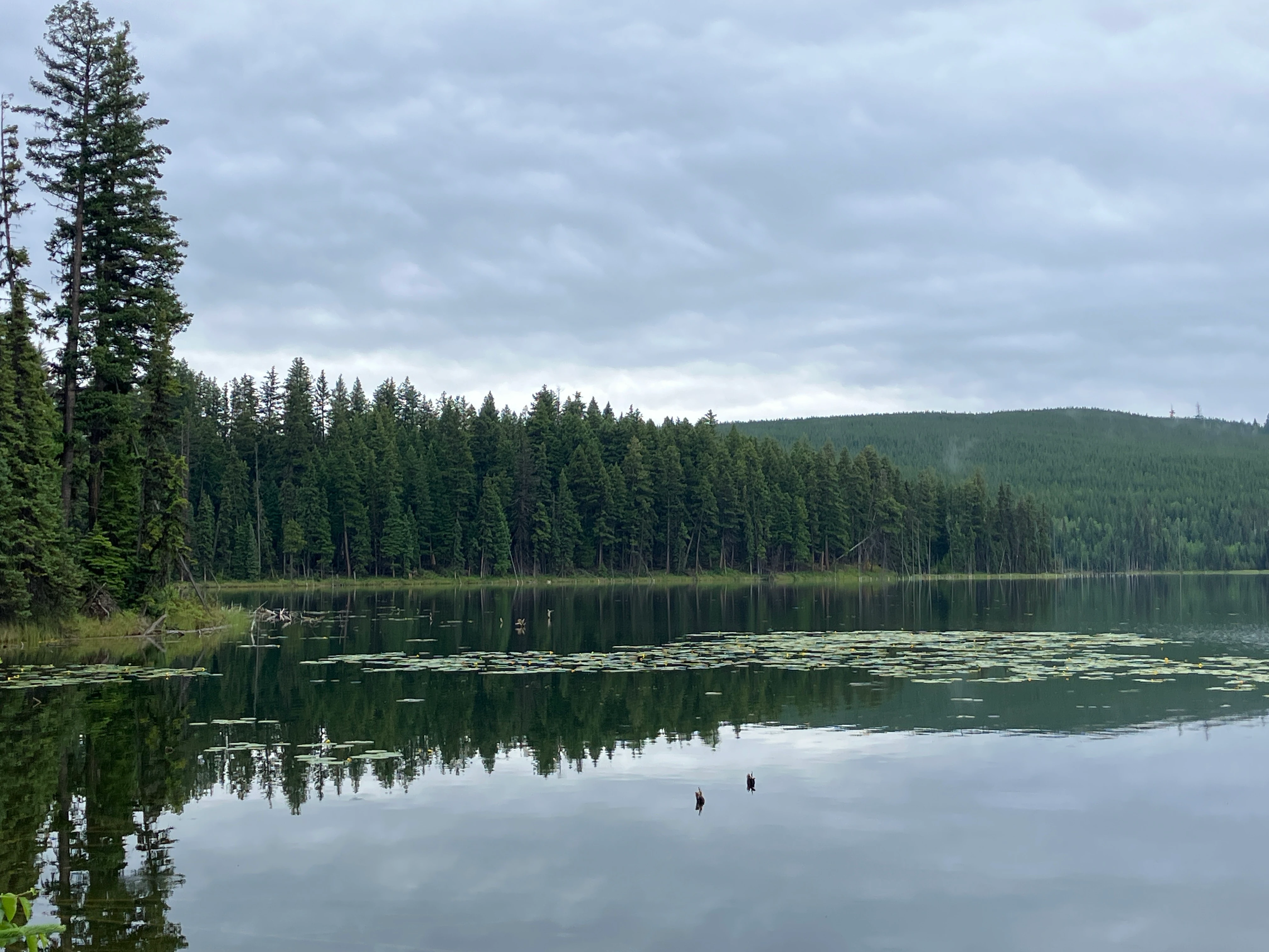Photo: Recreation Sites and Trails BC. © Province of British Columbia, licensed under the Open Government Licence – British Columbia. Boot Lake, photo 6