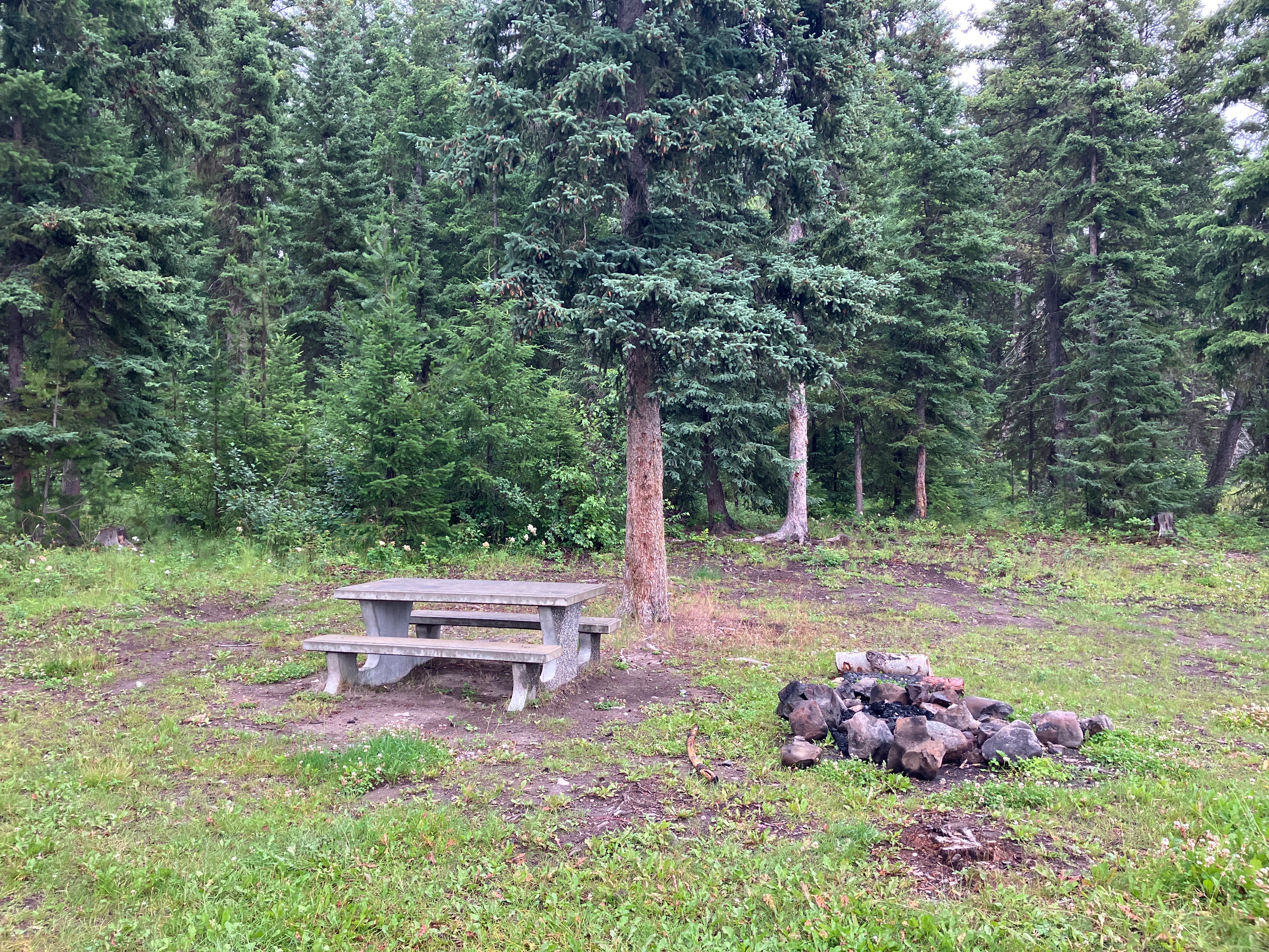 Photo: Recreation Sites and Trails BC. © Province of British Columbia, licensed under the Open Government Licence – British Columbia. Boot Lake, photo 3