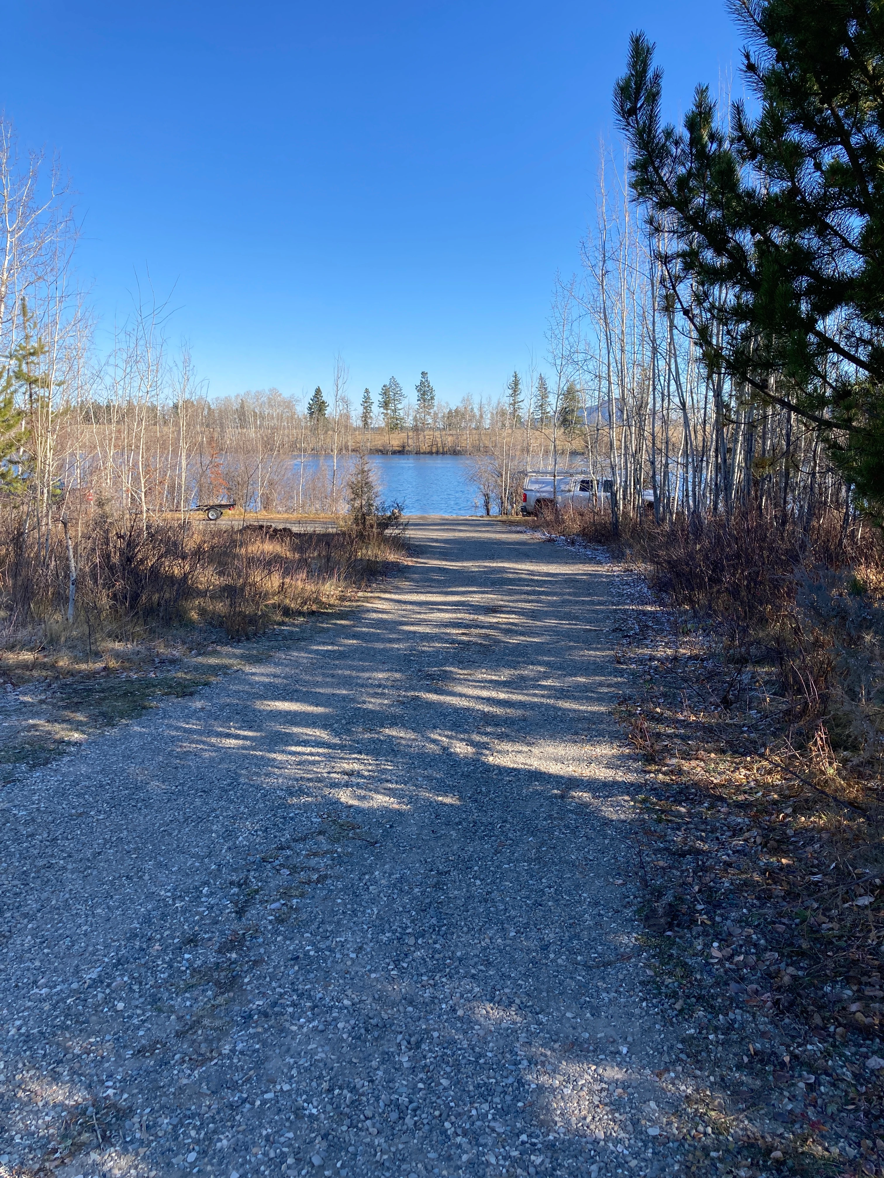 Photo: Recreation Sites and Trails BC. © Province of British Columbia, licensed under the Open Government Licence – British Columbia. Mcintyre Lake, photo 11