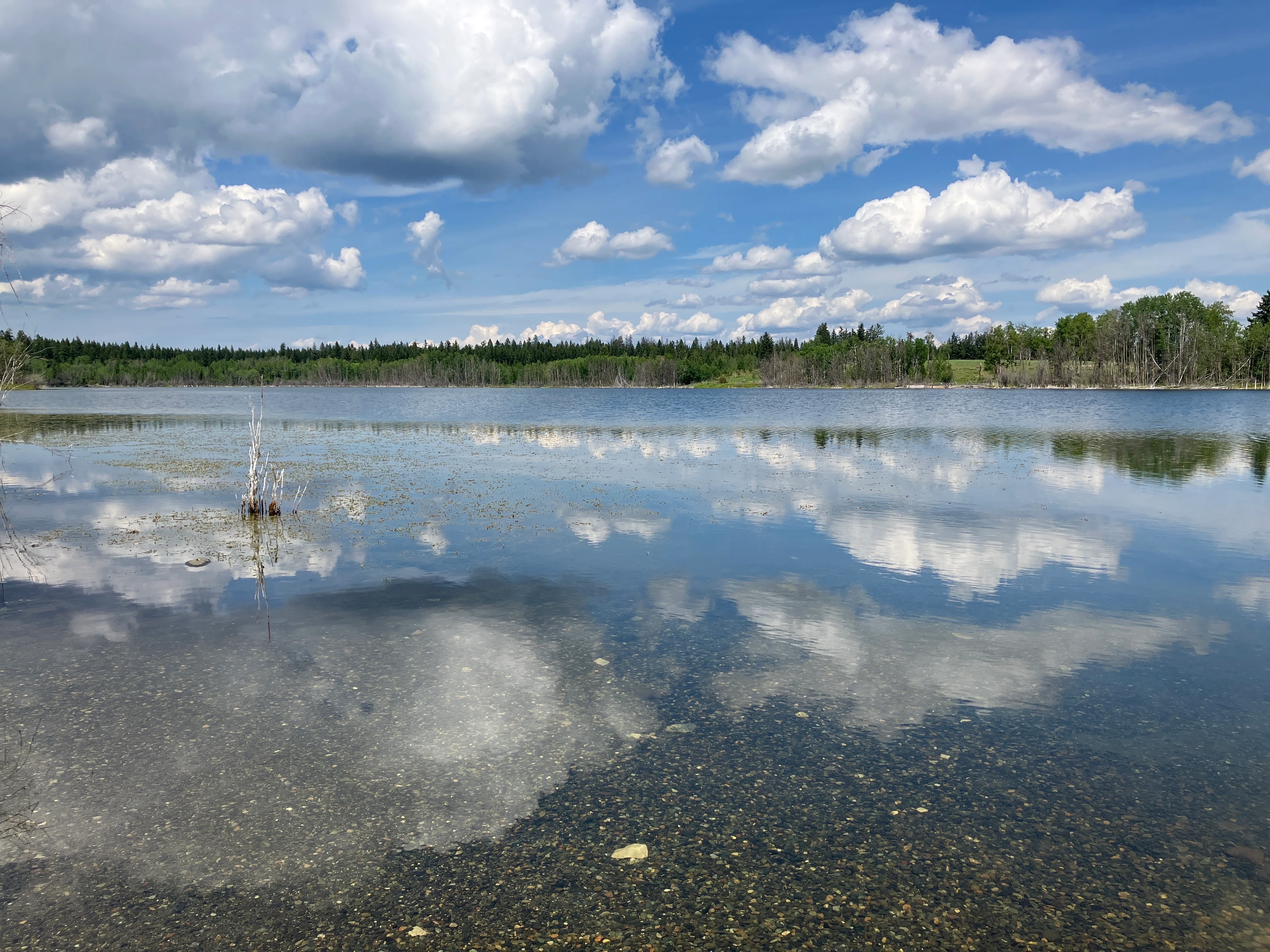 Photo: Recreation Sites and Trails BC. © Province of British Columbia, licensed under the Open Government Licence – British Columbia. Mcintyre Lake, photo 2