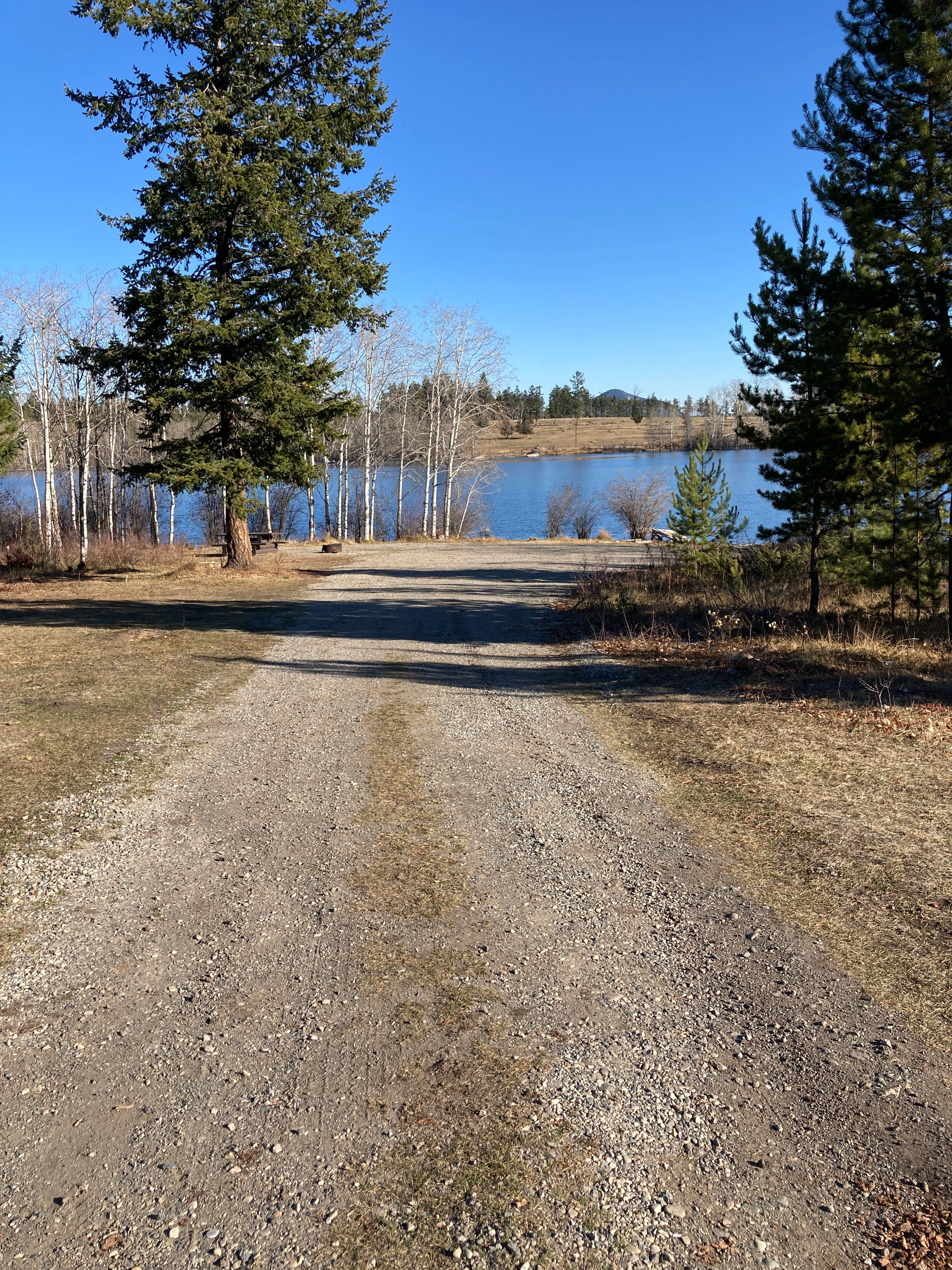 Photo: Recreation Sites and Trails BC. © Province of British Columbia, licensed under the Open Government Licence – British Columbia. Mcintyre Lake, photo 4