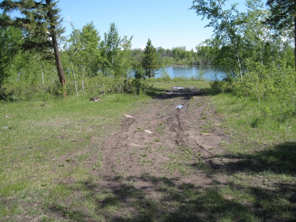 Photo: Recreation Sites and Trails BC. © Province of British Columbia, licensed under the Open Government Licence – British Columbia. Mcintyre Lake, photo 6