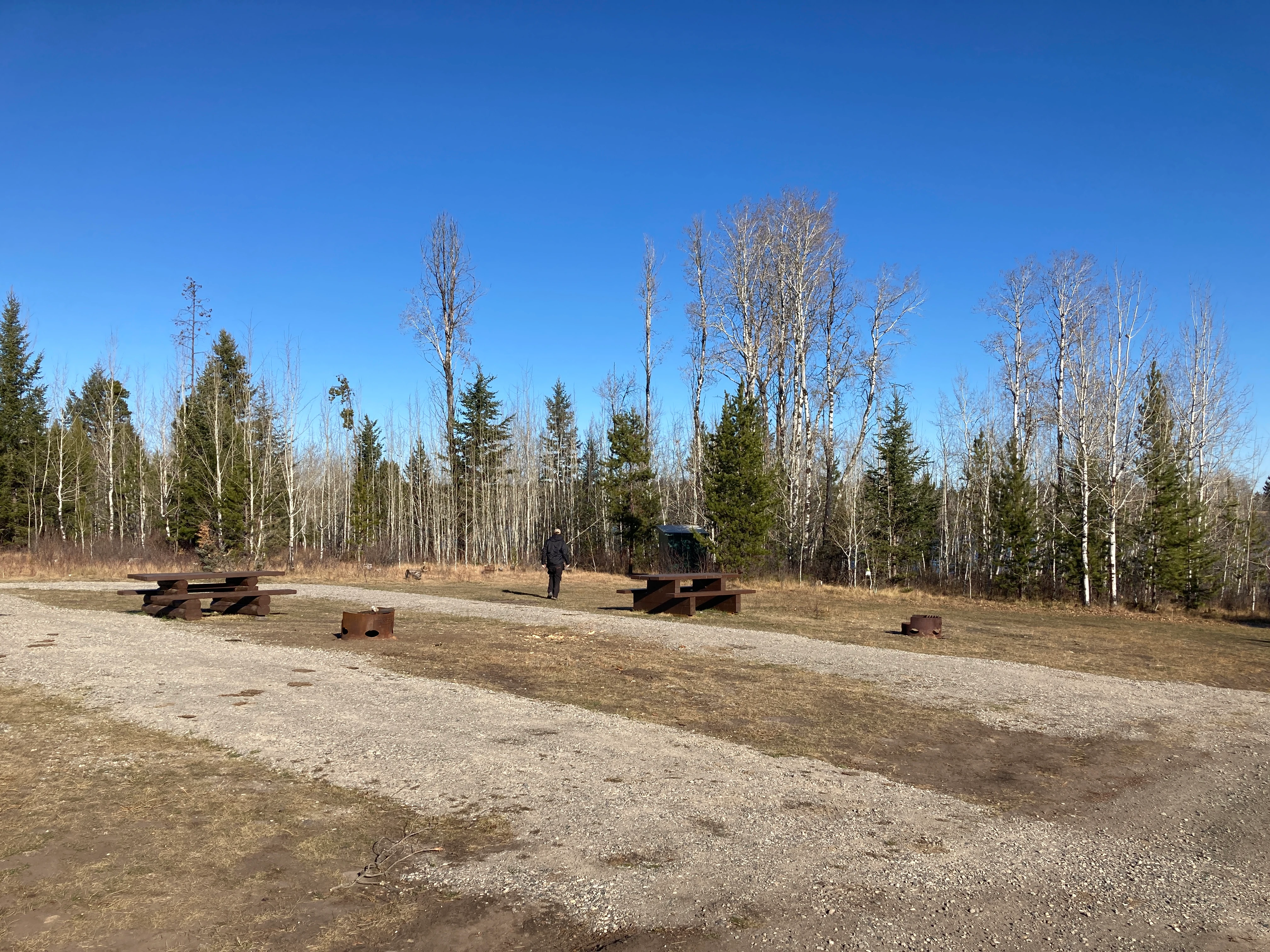 Photo: Recreation Sites and Trails BC. © Province of British Columbia, licensed under the Open Government Licence – British Columbia. Mcintyre Lake, photo 9