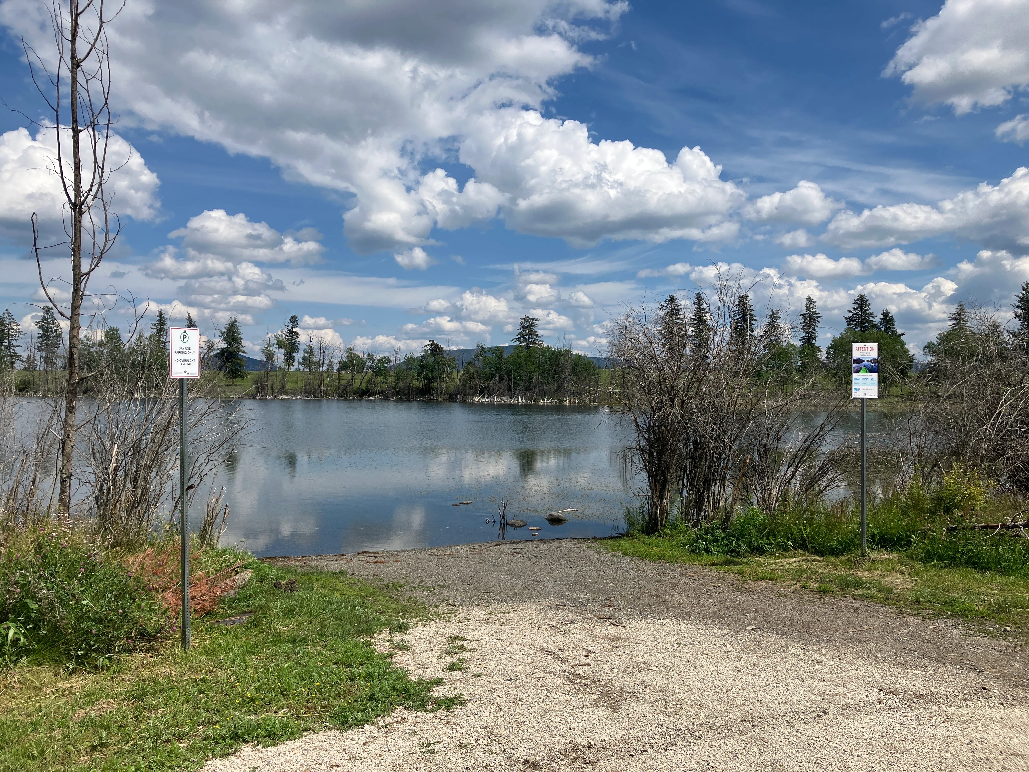 Photo: Recreation Sites and Trails BC. © Province of British Columbia, licensed under the Open Government Licence – British Columbia. Mcintyre Lake, photo 1