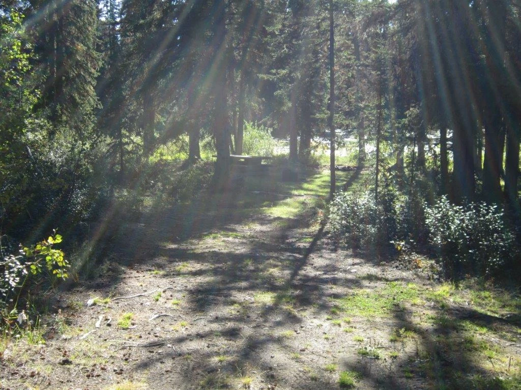 Photo: Recreation Sites and Trails BC. © Province of British Columbia, licensed under the Open Government Licence – British Columbia. FISH TRAP (DEAN RIVER)