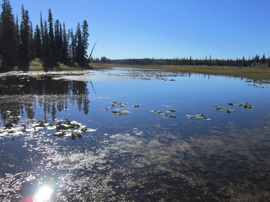 Photo: Recreation Sites and Trails BC. © Province of British Columbia, licensed under the Open Government Licence – British Columbia. FISH TRAP (DEAN RIVER), photo 2