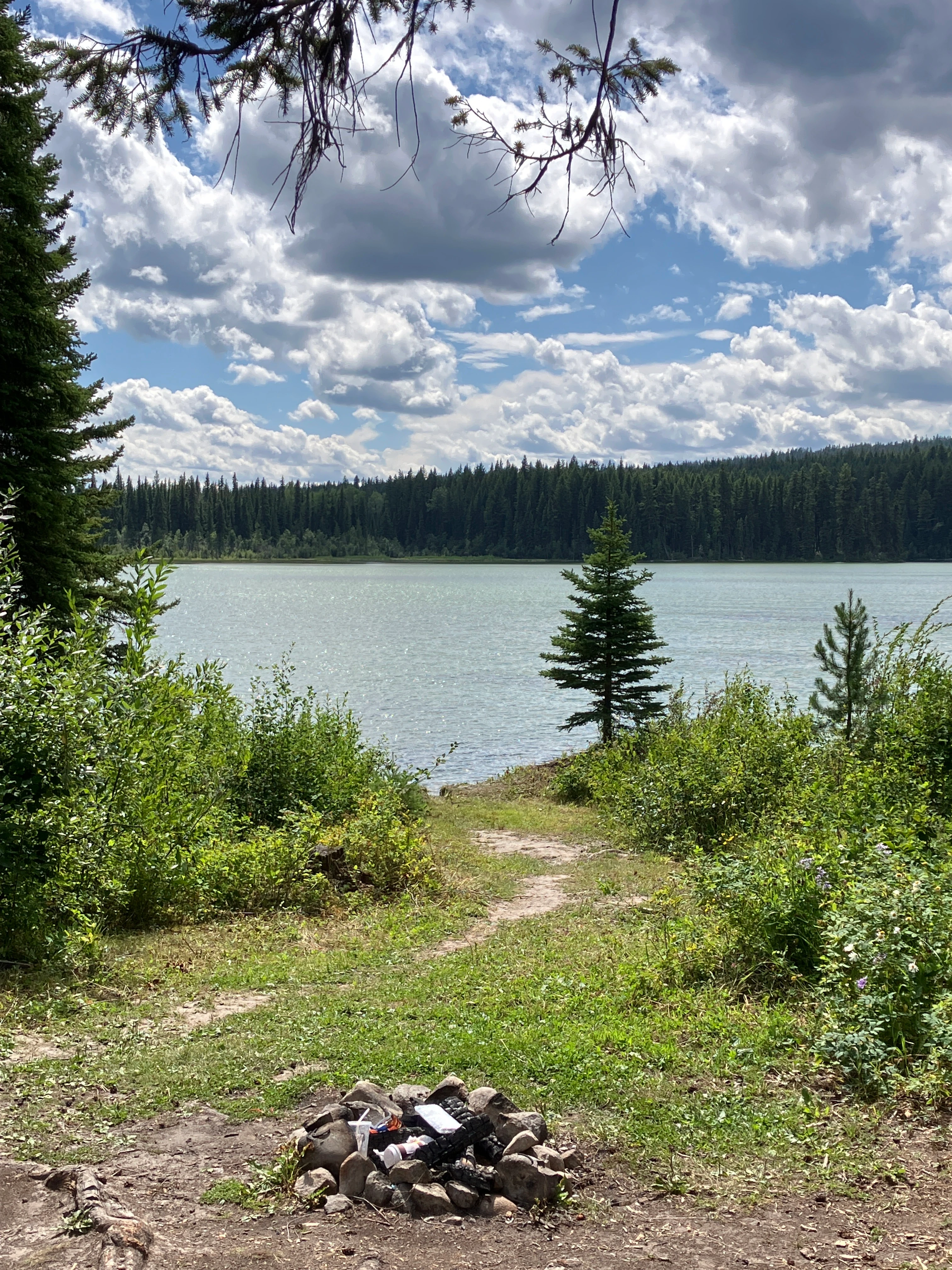 Photo: Recreation Sites and Trails BC. © Province of British Columbia, licensed under the Open Government Licence – British Columbia. Howes Lake, photo 7