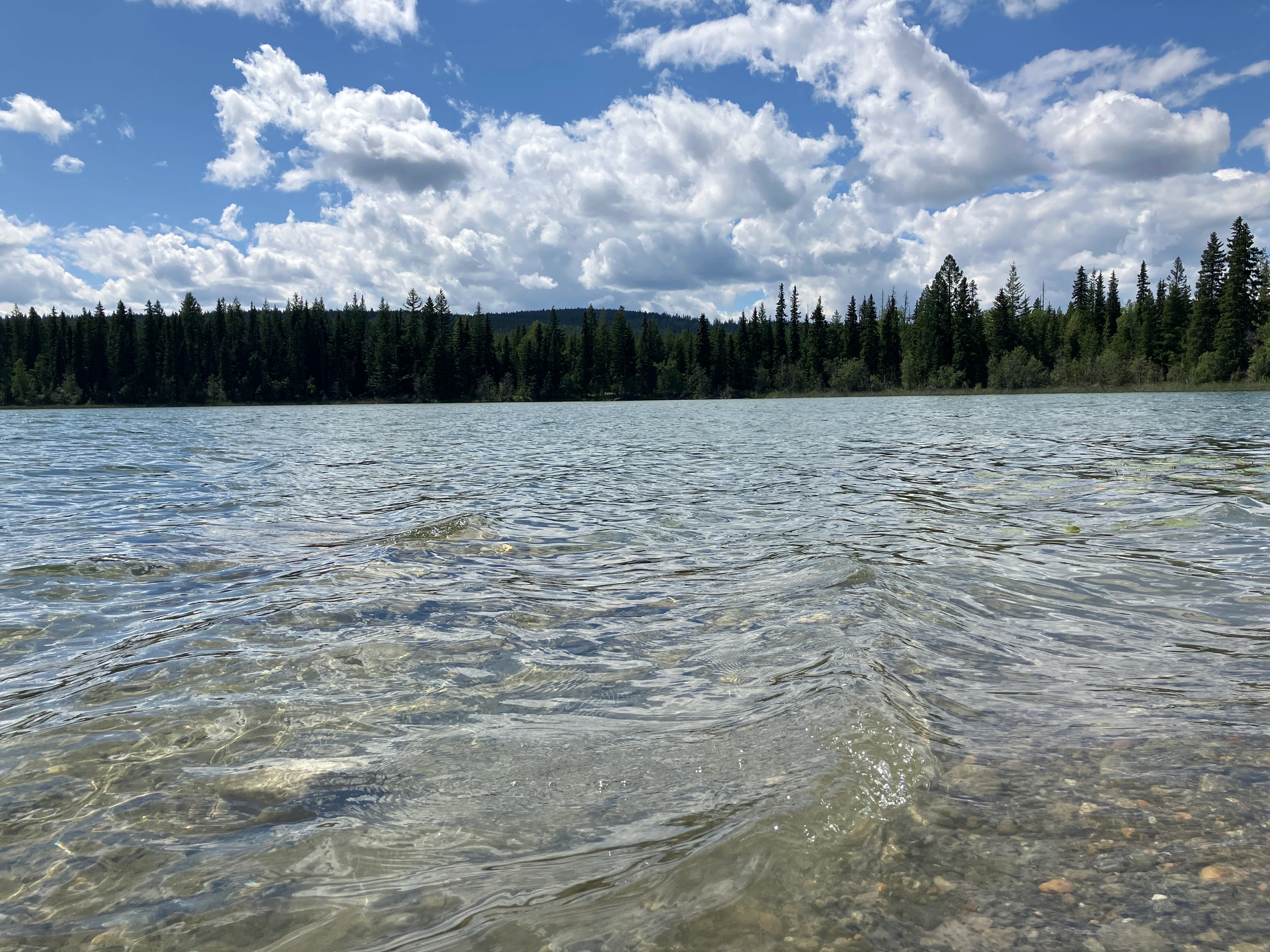 Photo: Recreation Sites and Trails BC. © Province of British Columbia, licensed under the Open Government Licence – British Columbia. Howes Lake, photo 4