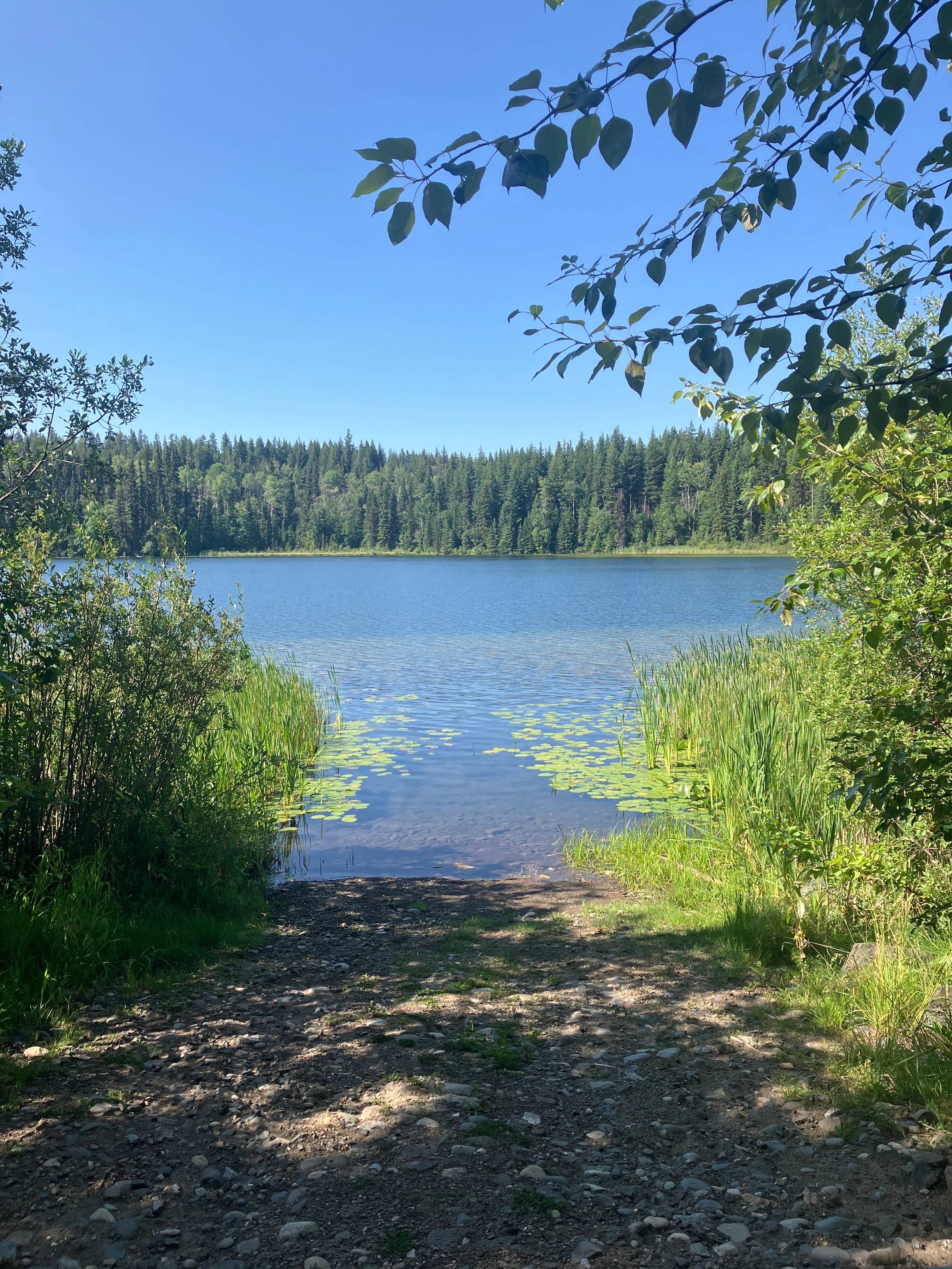 Photo: Recreation Sites and Trails BC. © Province of British Columbia, licensed under the Open Government Licence – British Columbia. Dorsey Lake