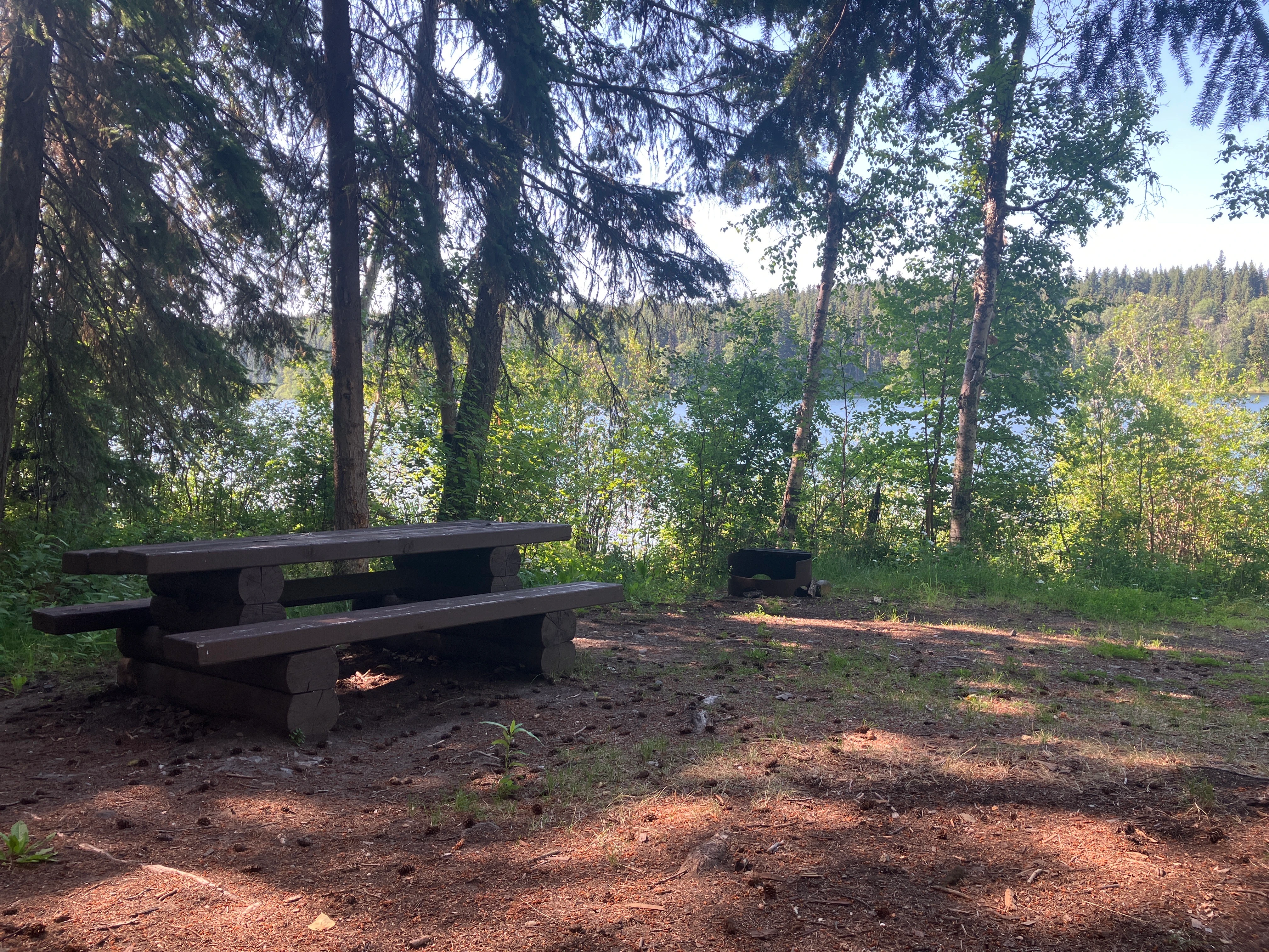 Photo: Recreation Sites and Trails BC. © Province of British Columbia, licensed under the Open Government Licence – British Columbia. Dorsey Lake, photo 3