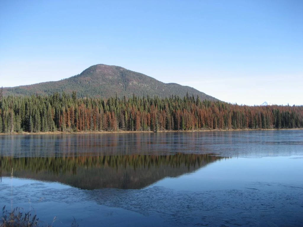 Photo: Recreation Sites and Trails BC. © Province of British Columbia, licensed under the Open Government Licence – British Columbia. Atan Lake