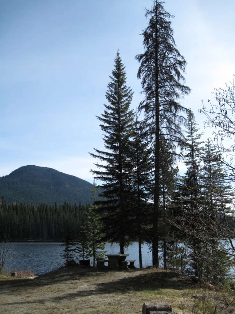Photo: Recreation Sites and Trails BC. © Province of British Columbia, licensed under the Open Government Licence – British Columbia. Atan Lake, photo 2