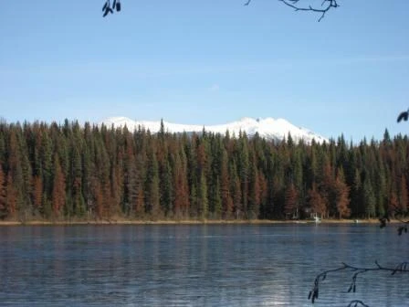Photo: Recreation Sites and Trails BC. © Province of British Columbia, licensed under the Open Government Licence – British Columbia. Chisel Lake