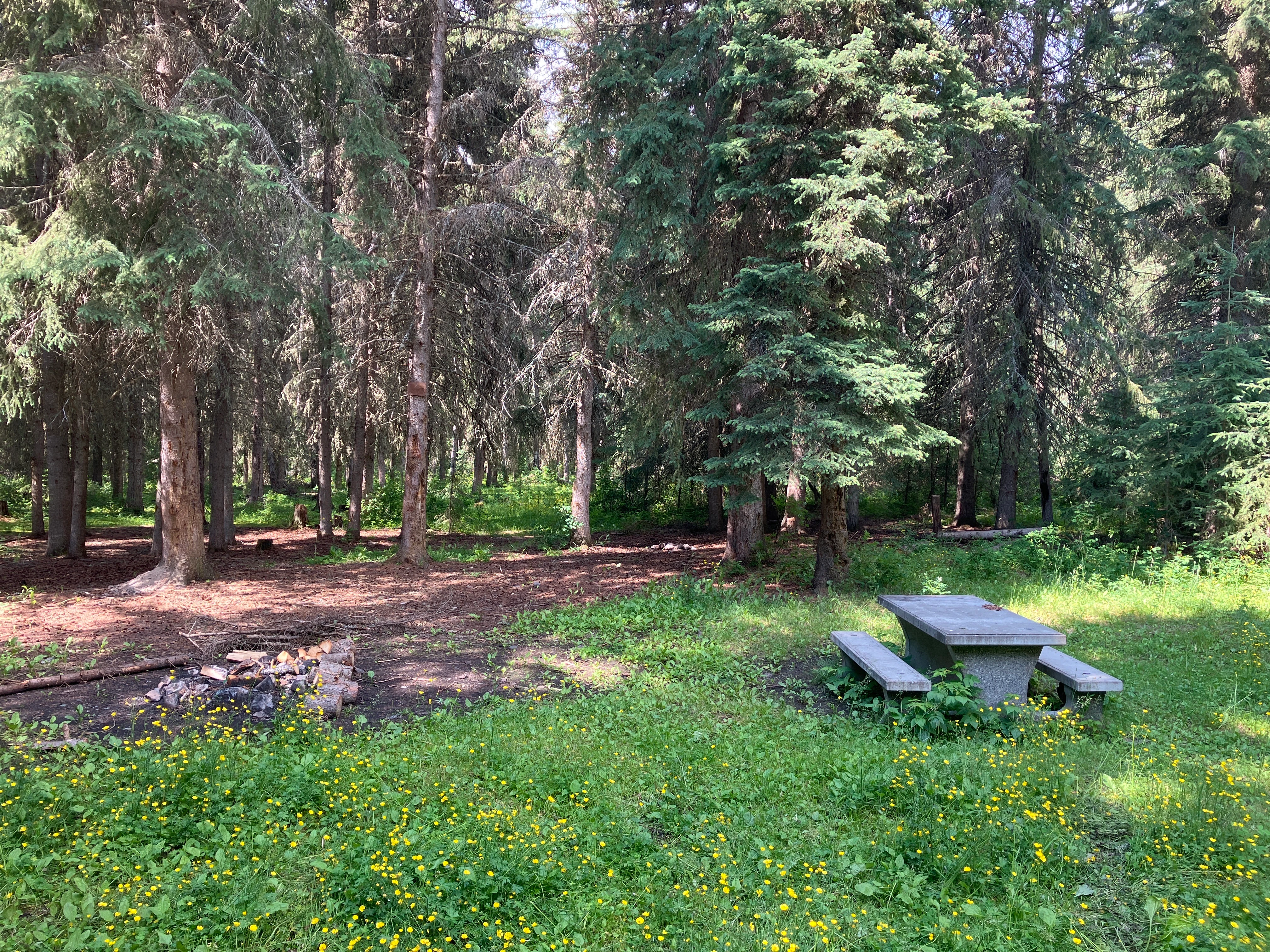 Photo: Recreation Sites and Trails BC. © Province of British Columbia, licensed under the Open Government Licence – British Columbia. Batnuni Lake West, photo 4