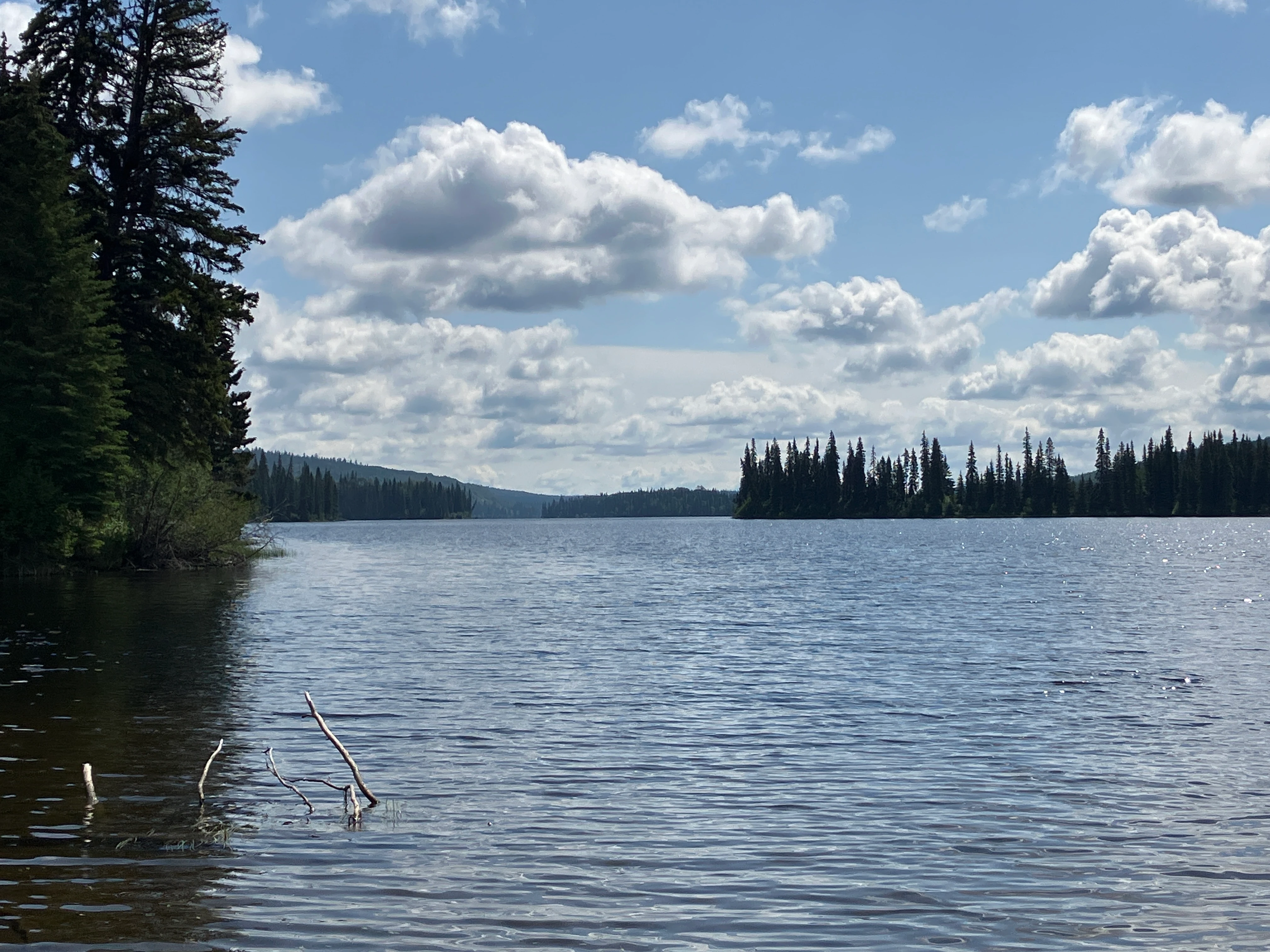 Photo: Recreation Sites and Trails BC. © Province of British Columbia, licensed under the Open Government Licence – British Columbia. Batnuni Lake West, photo 6