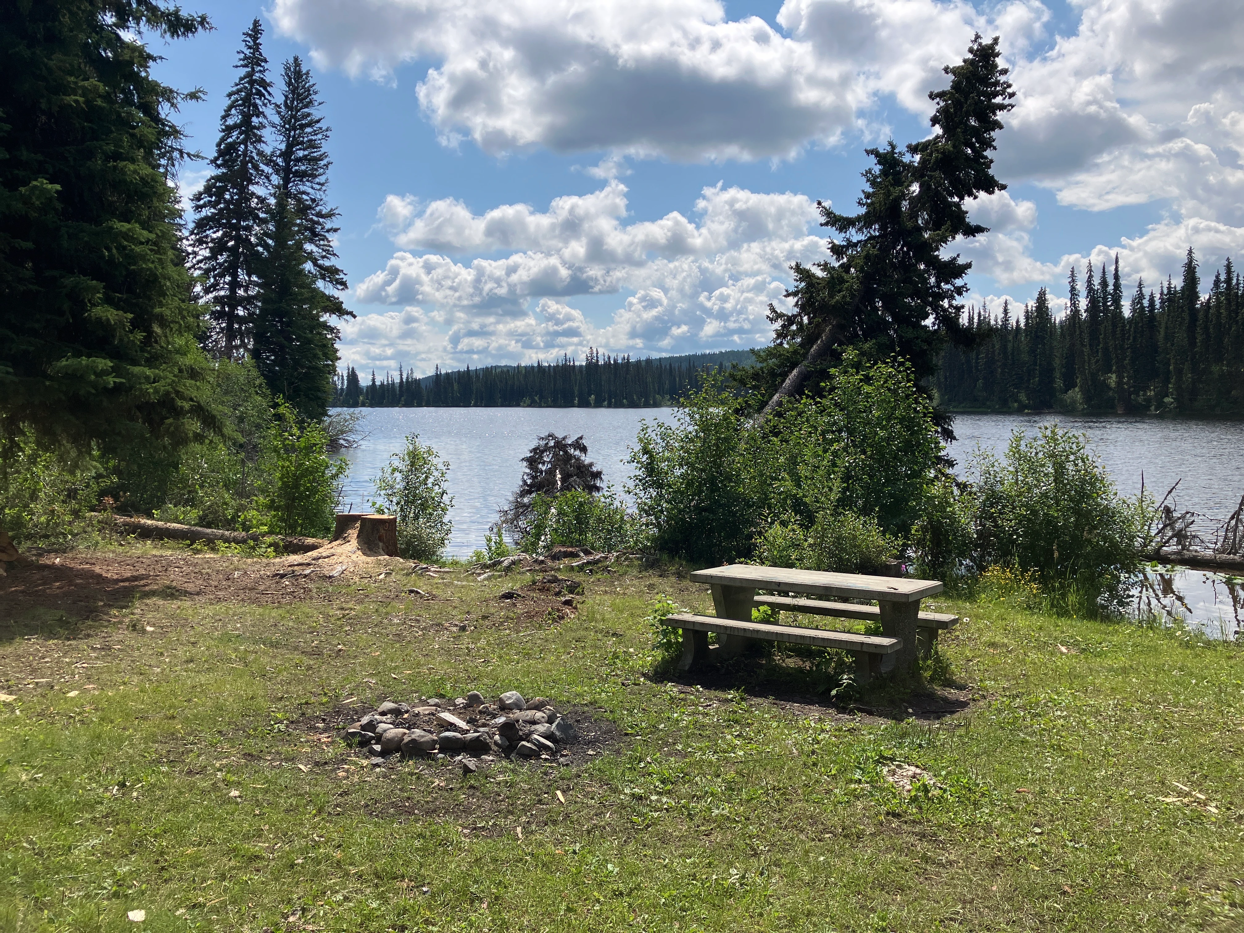 Photo: Recreation Sites and Trails BC. © Province of British Columbia, licensed under the Open Government Licence – British Columbia. Batnuni Lake West, photo 5