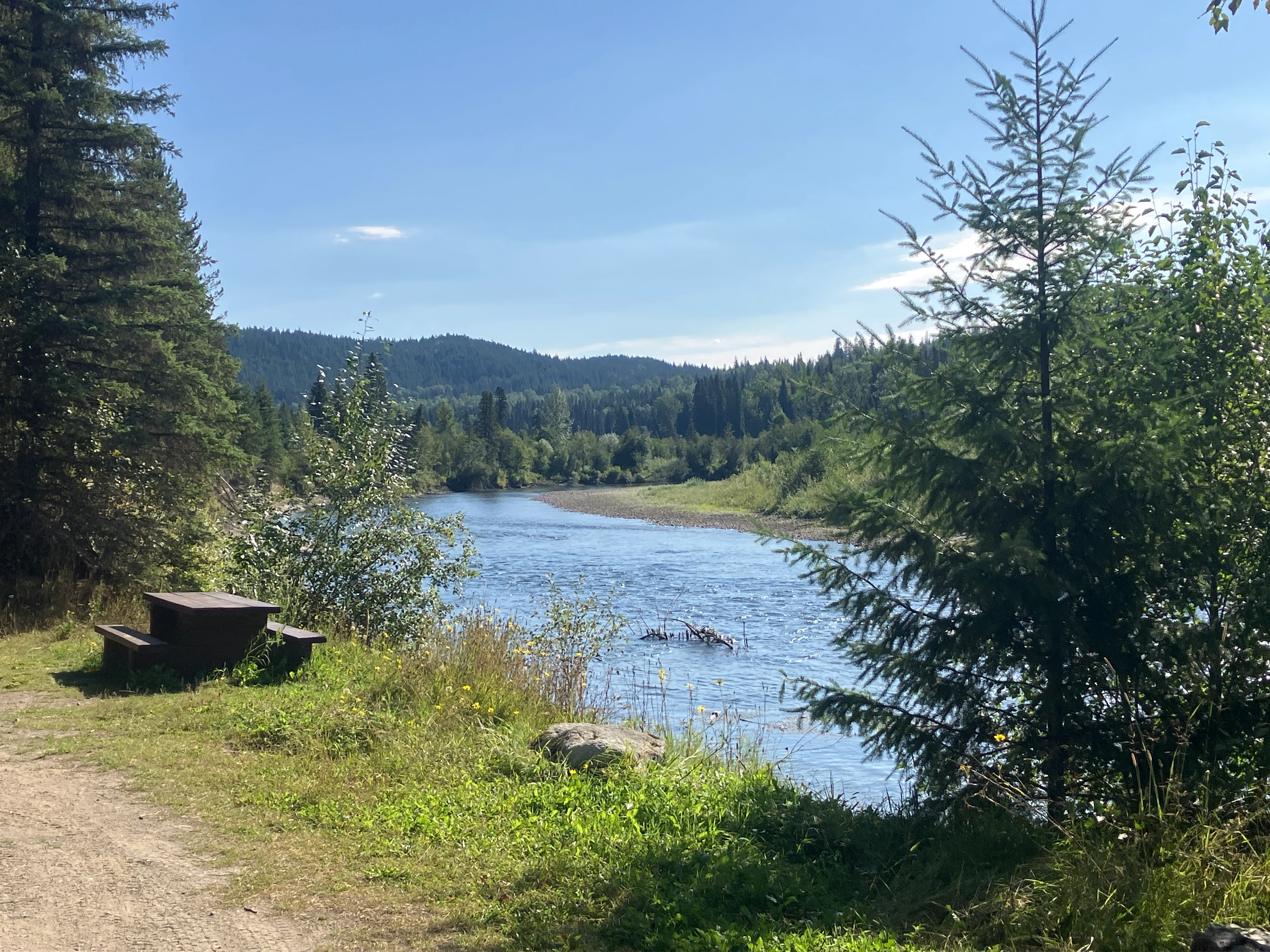 Photo: Recreation Sites and Trails BC. © Province of British Columbia, licensed under the Open Government Licence – British Columbia. Horsefly River Flats, photo 5