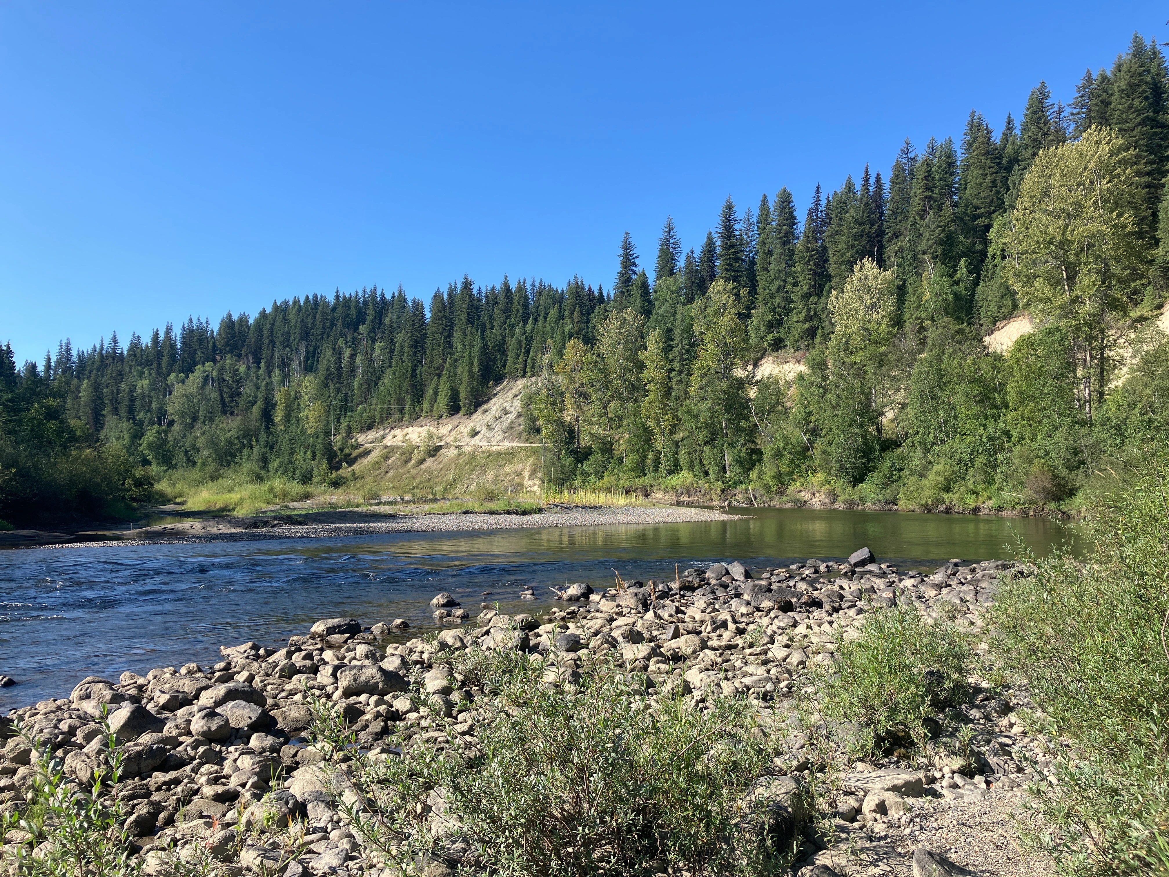 Photo: Recreation Sites and Trails BC. © Province of British Columbia, licensed under the Open Government Licence – British Columbia. Horsefly River Flats, photo 6