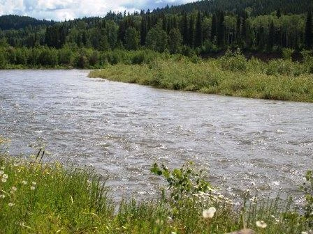 Photo: Recreation Sites and Trails BC. © Province of British Columbia, licensed under the Open Government Licence – British Columbia. Horsefly River Flats, photo 2
