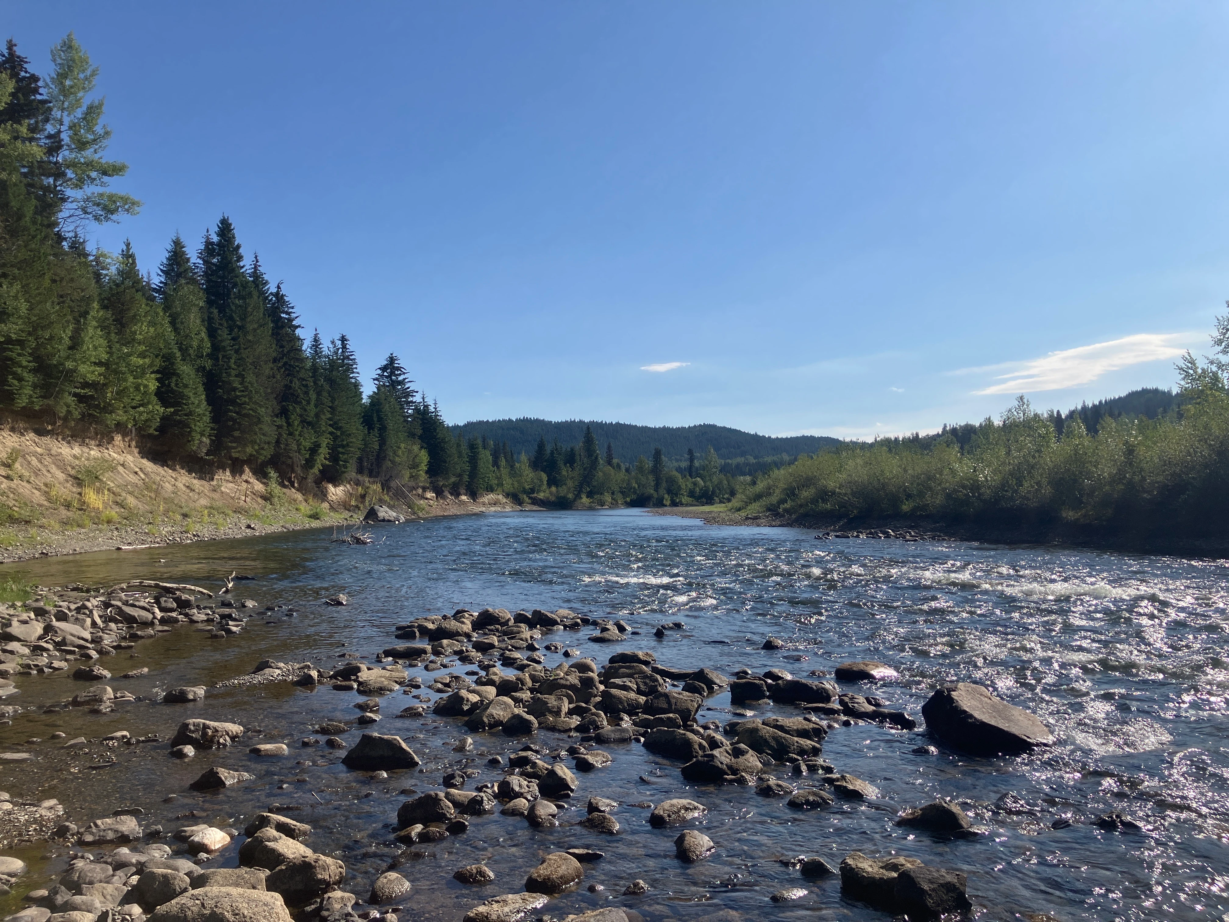 Photo: Recreation Sites and Trails BC. © Province of British Columbia, licensed under the Open Government Licence – British Columbia. Horsefly River Flats, photo 7