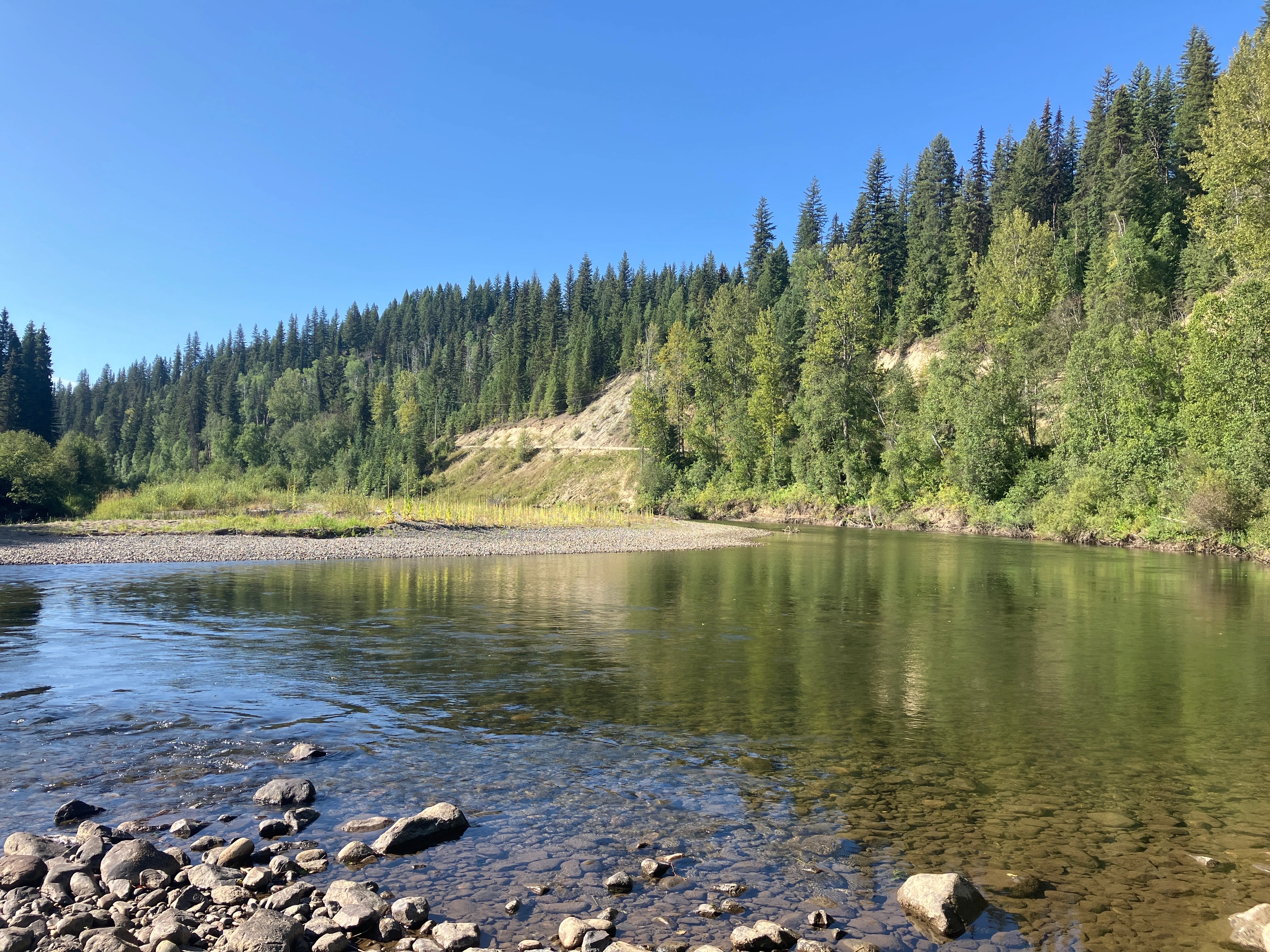 Photo: Recreation Sites and Trails BC. © Province of British Columbia, licensed under the Open Government Licence – British Columbia. Horsefly River Flats, photo 8