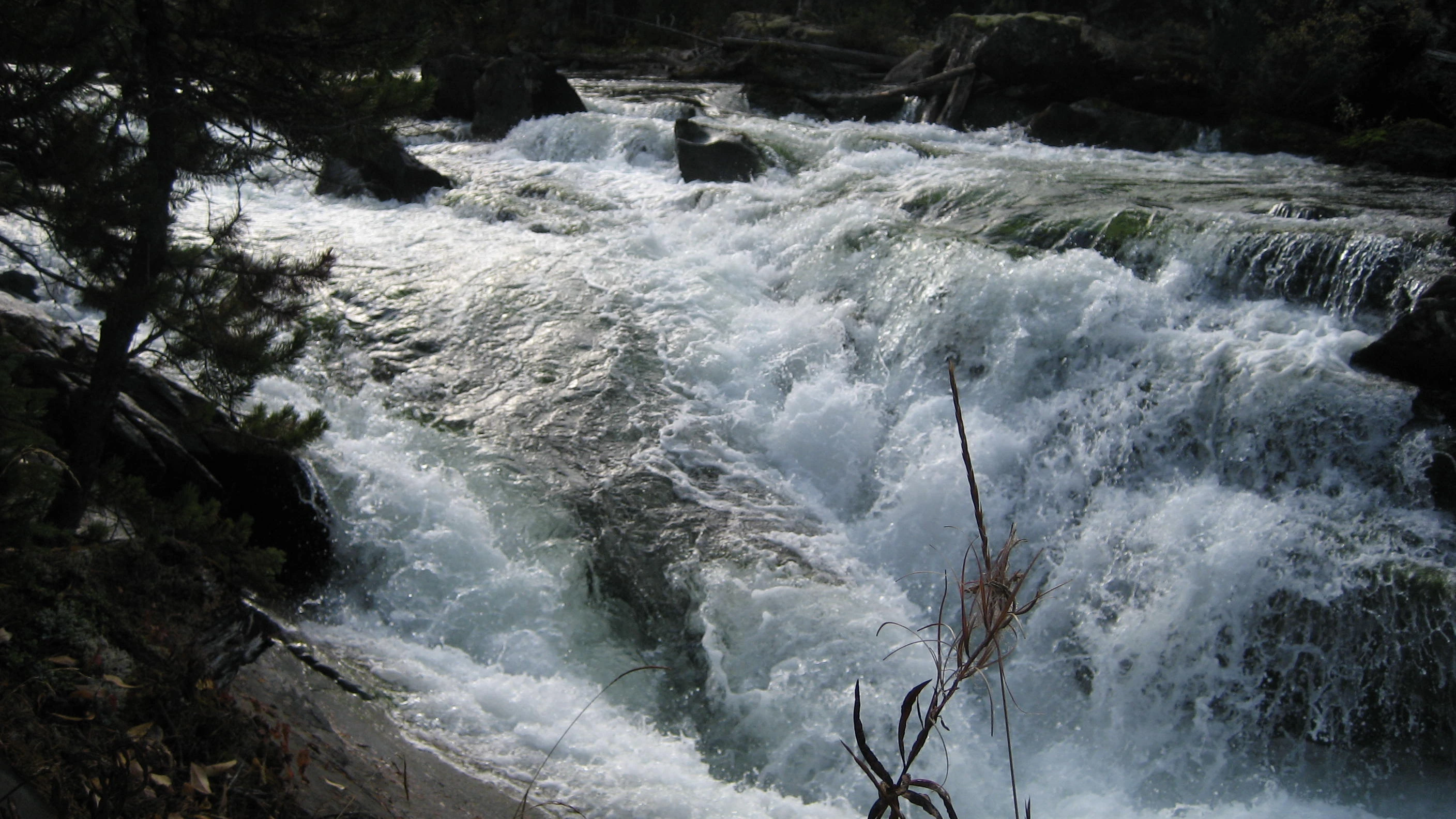 Photo: Recreation Sites and Trails BC. © Province of British Columbia, licensed under the Open Government Licence – British Columbia. Ghost Lake, photo 5
