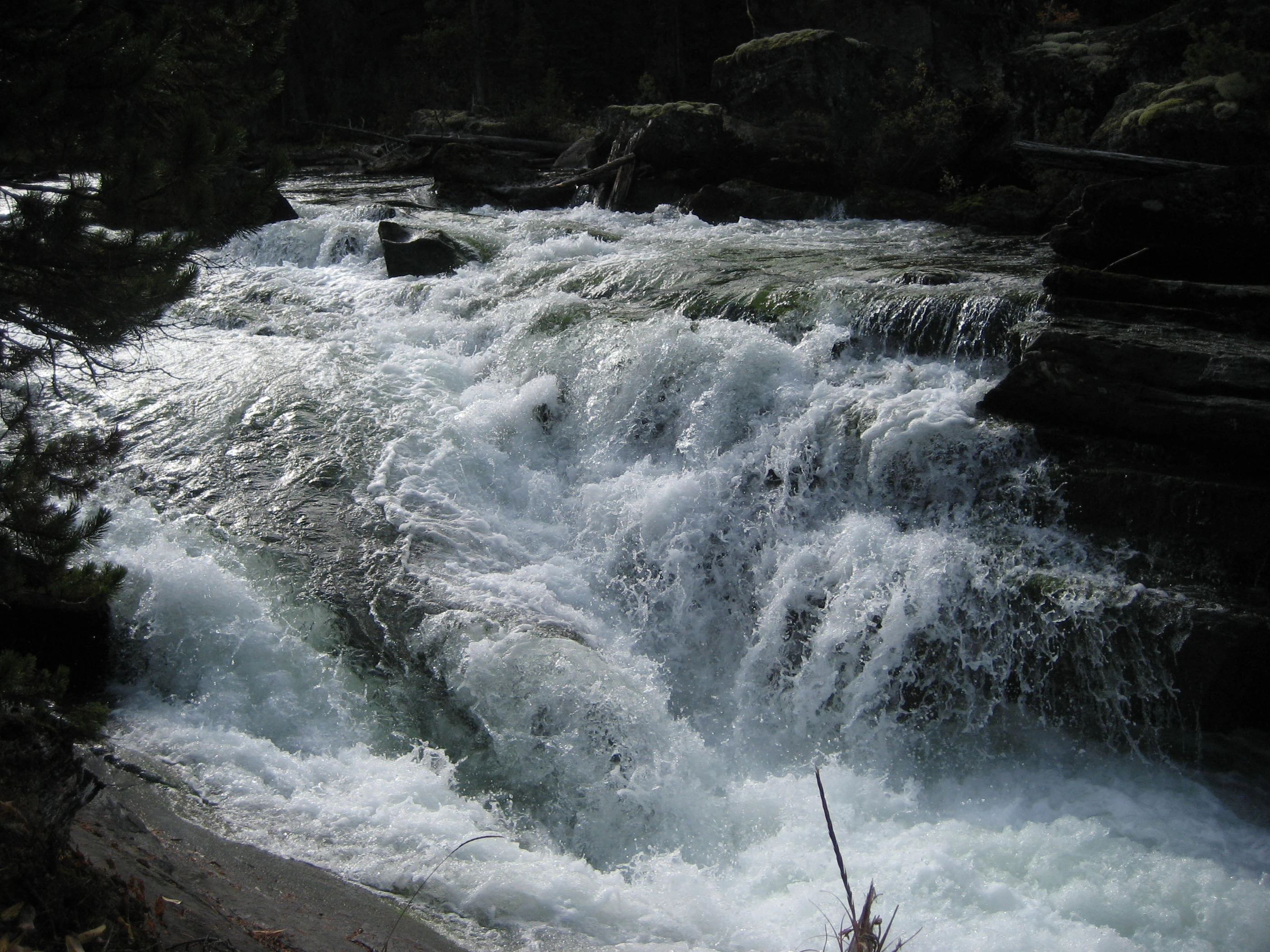 Photo: Recreation Sites and Trails BC. © Province of British Columbia, licensed under the Open Government Licence – British Columbia. Ghost Lake, photo 4