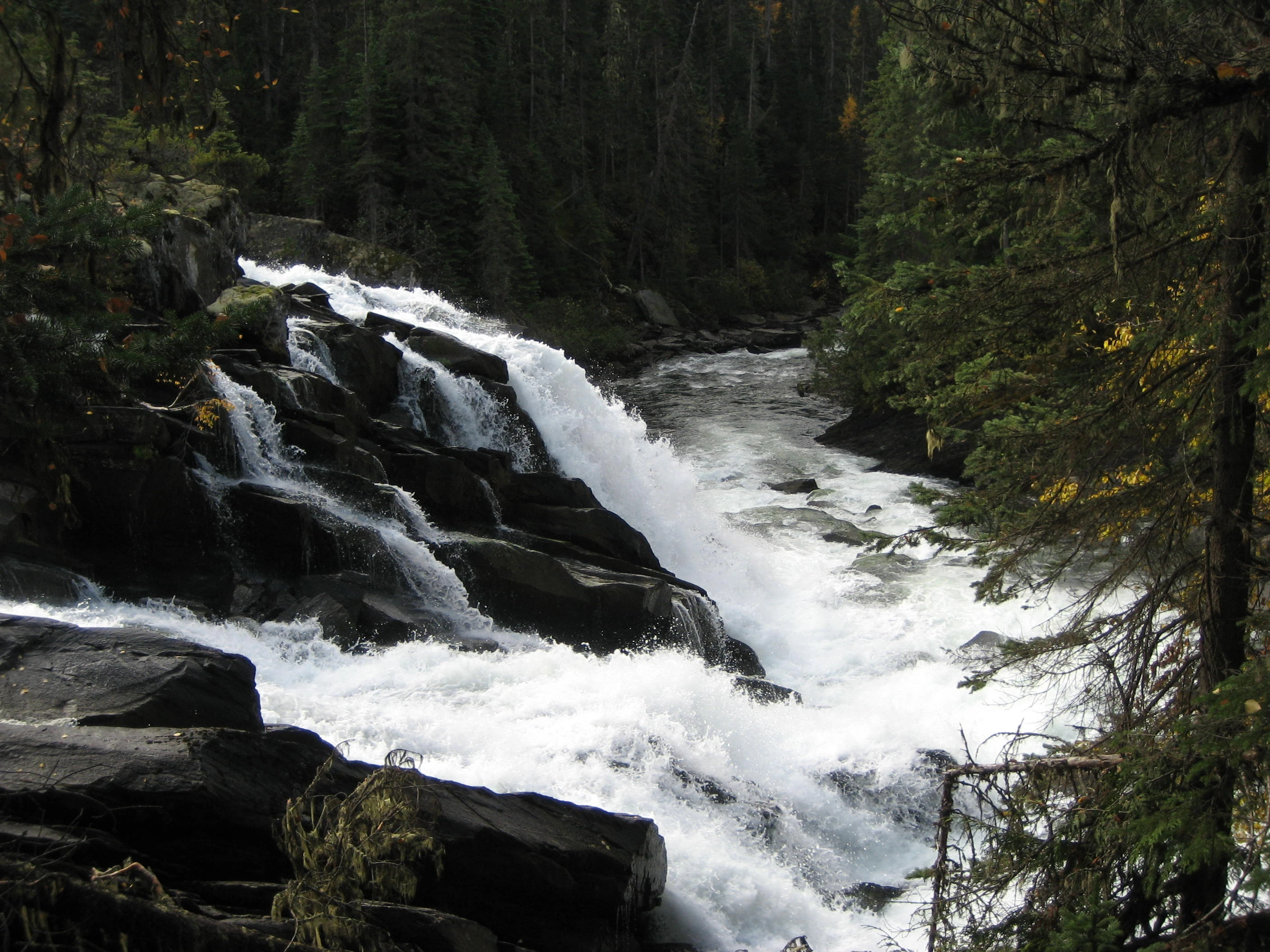Photo: Recreation Sites and Trails BC. © Province of British Columbia, licensed under the Open Government Licence – British Columbia. Ghost Lake, photo 2