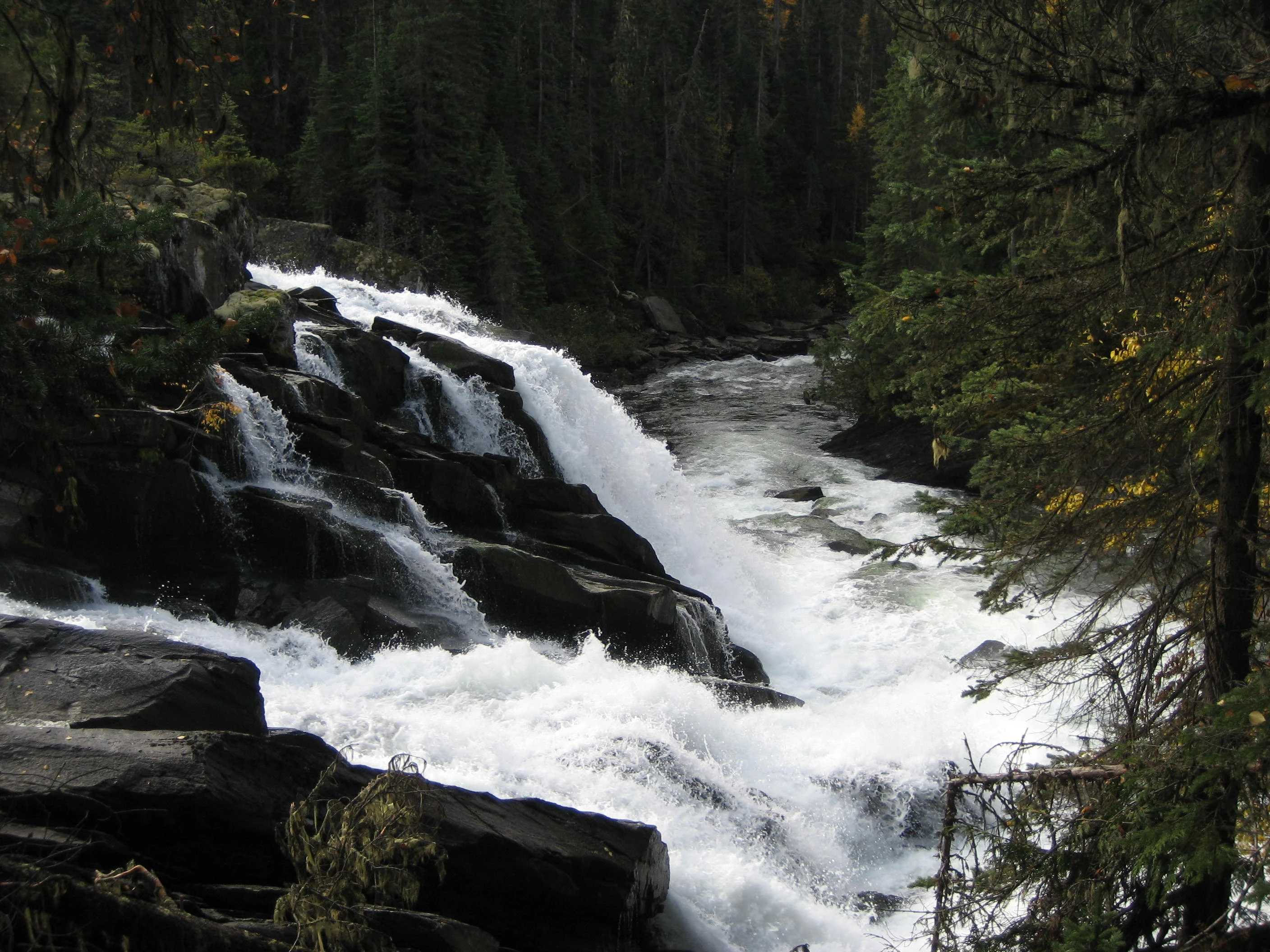 Photo: Recreation Sites and Trails BC. © Province of British Columbia, licensed under the Open Government Licence – British Columbia. Ghost Lake, photo 3