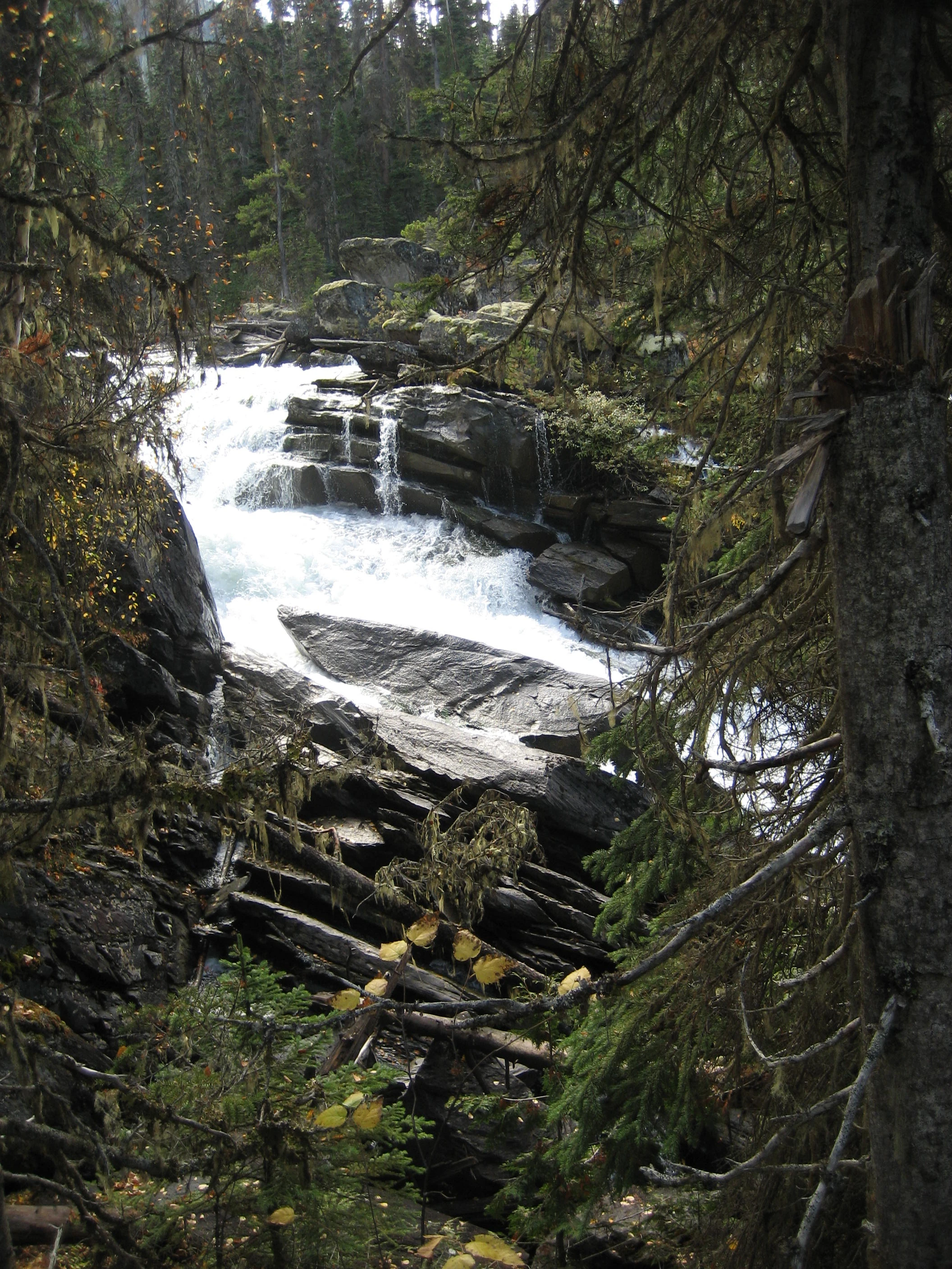 Photo: Recreation Sites and Trails BC. © Province of British Columbia, licensed under the Open Government Licence – British Columbia. Ghost Lake