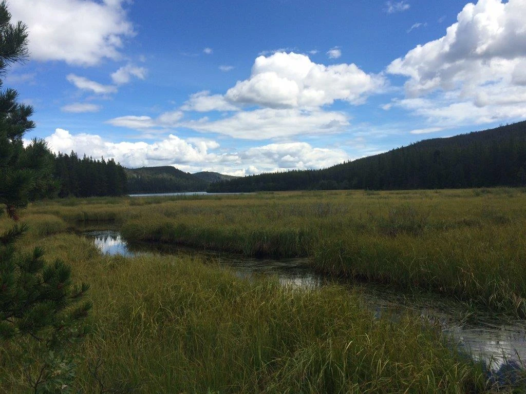 Photo: Recreation Sites and Trails BC. © Province of British Columbia, licensed under the Open Government Licence – British Columbia. MINER LAKE, photo 3