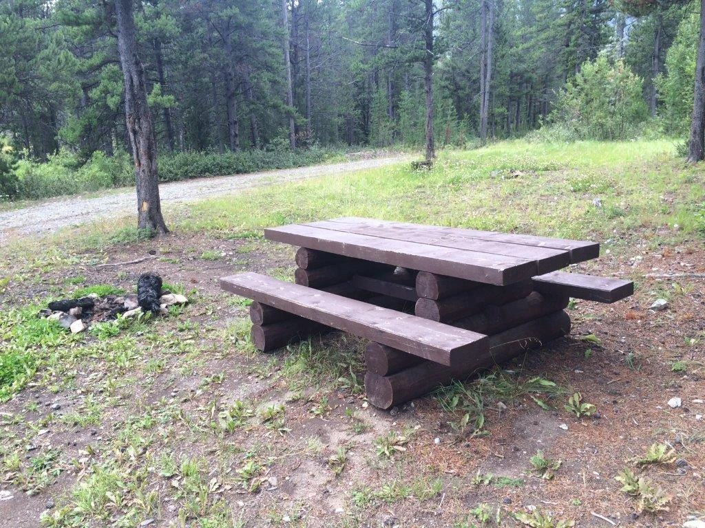 Photo: Recreation Sites and Trails BC. © Province of British Columbia, licensed under the Open Government Licence – British Columbia. MINER LAKE, photo 2