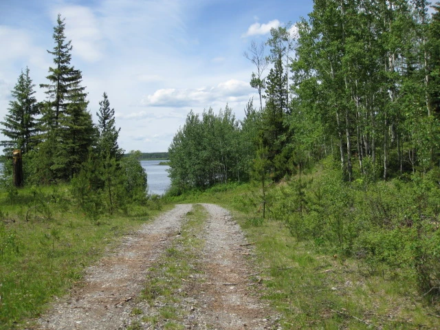 Photo: Recreation Sites and Trails BC. © Province of British Columbia, licensed under the Open Government Licence – British Columbia. Pelican Lake South, photo 6