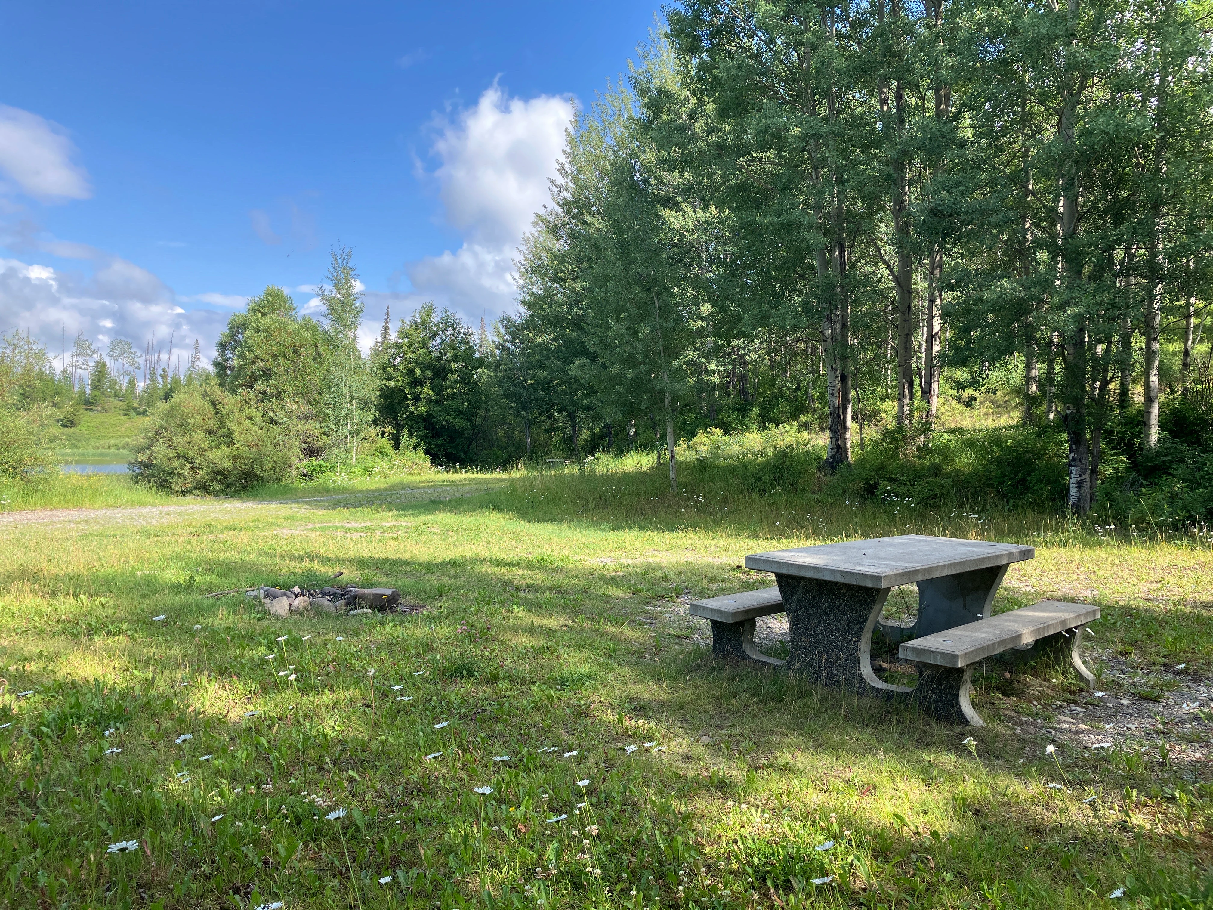 Photo: Recreation Sites and Trails BC. © Province of British Columbia, licensed under the Open Government Licence – British Columbia. Pelican Lake South, photo 2