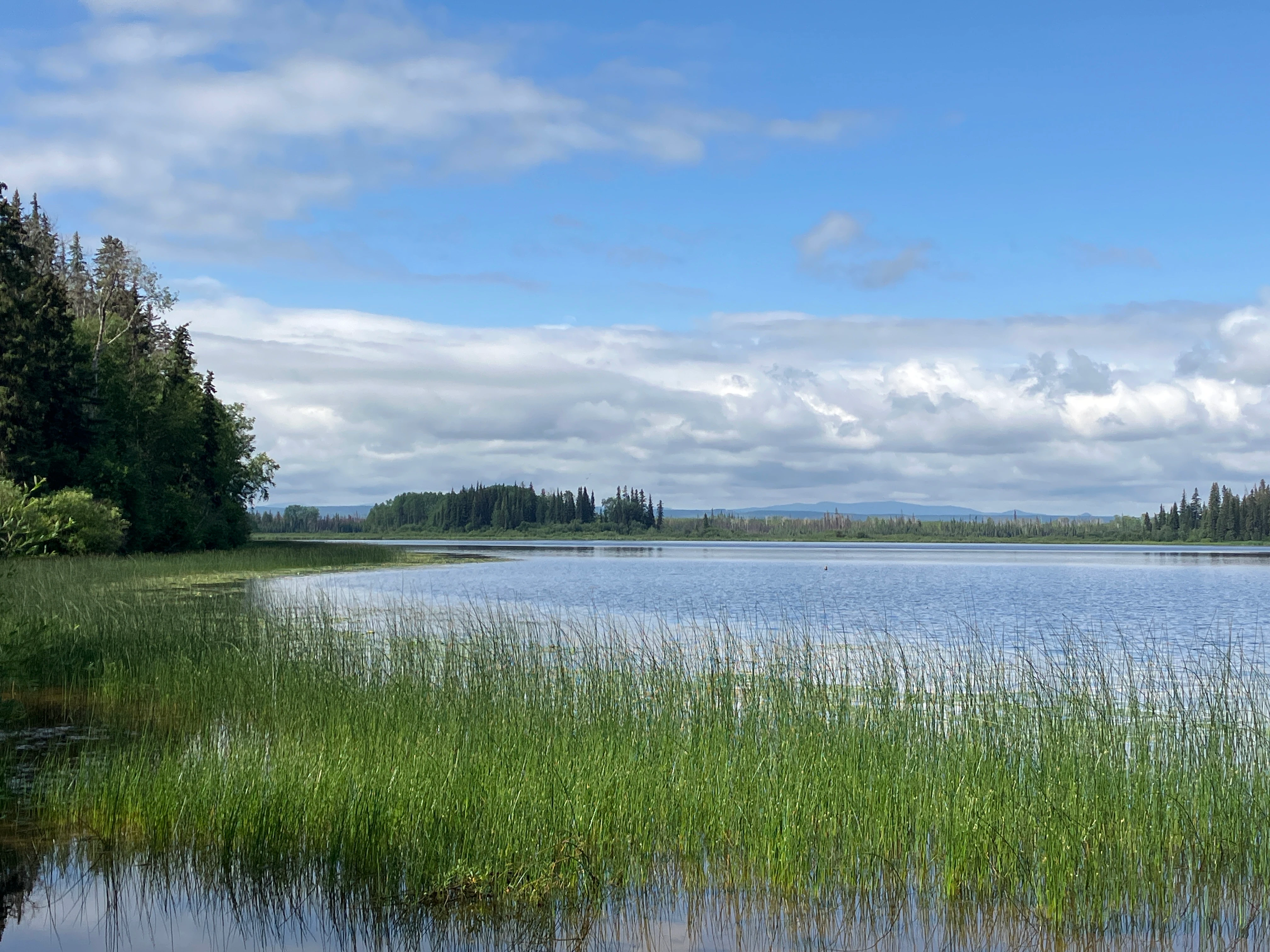 Photo: Recreation Sites and Trails BC. © Province of British Columbia, licensed under the Open Government Licence – British Columbia. Pelican Lake South, photo 3