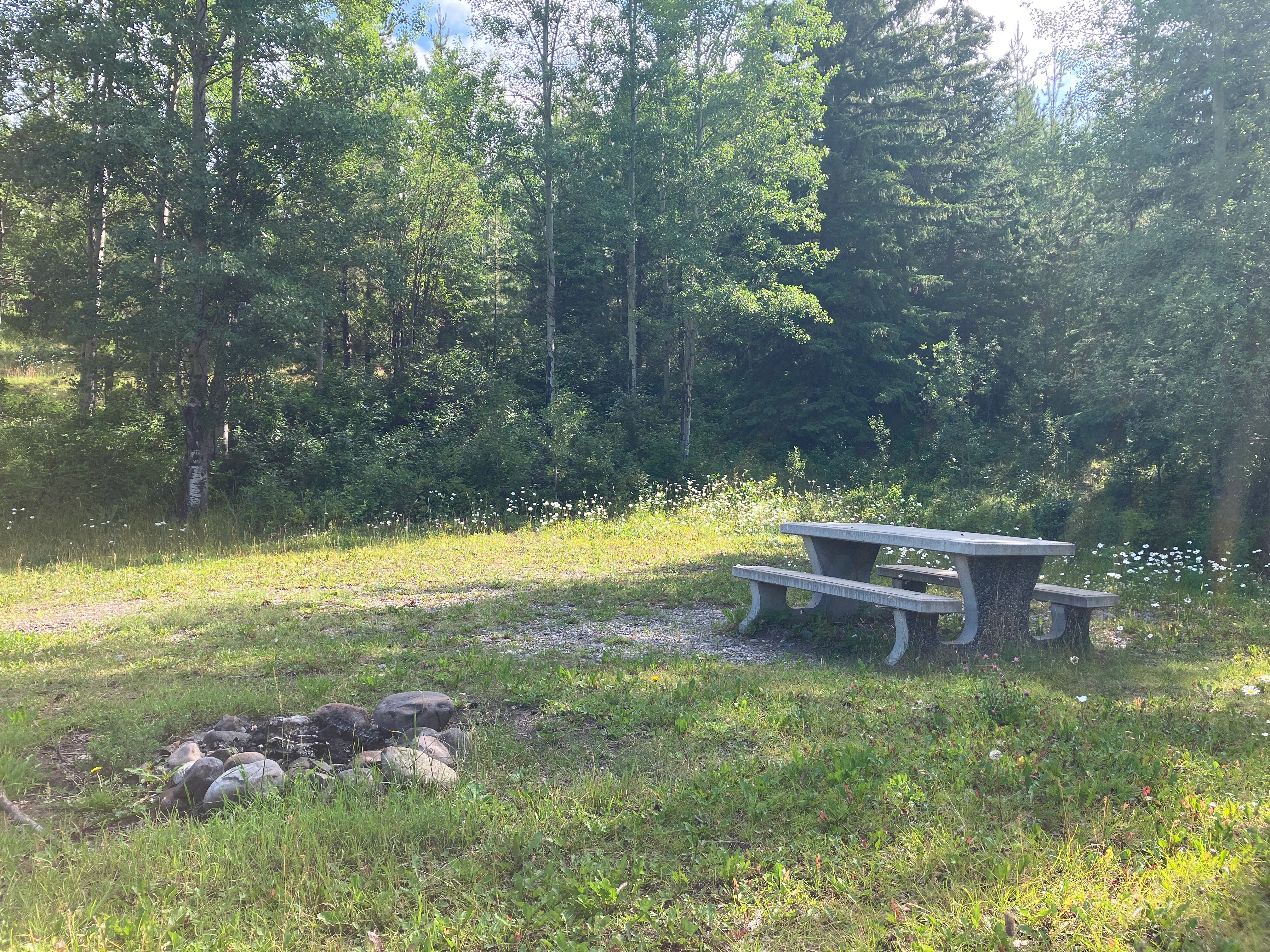 Photo: Recreation Sites and Trails BC. © Province of British Columbia, licensed under the Open Government Licence – British Columbia. Pelican Lake South