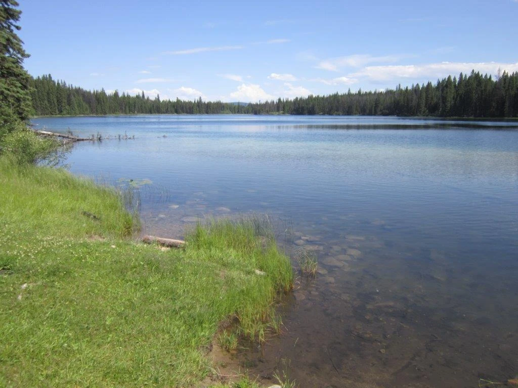 Photo: Recreation Sites and Trails BC. © Province of British Columbia, licensed under the Open Government Licence – British Columbia. Moose Lake, photo 2