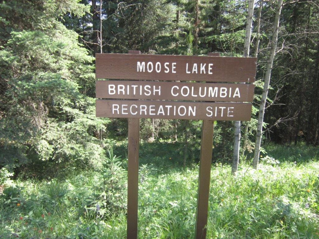 Photo: Recreation Sites and Trails BC. © Province of British Columbia, licensed under the Open Government Licence – British Columbia. Moose Lake