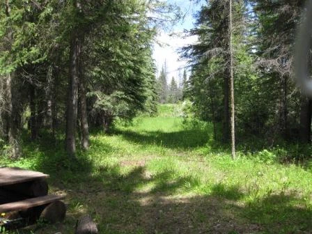 Photo: Recreation Sites and Trails BC. © Province of British Columbia, licensed under the Open Government Licence – British Columbia. Snaking River, photo 5
