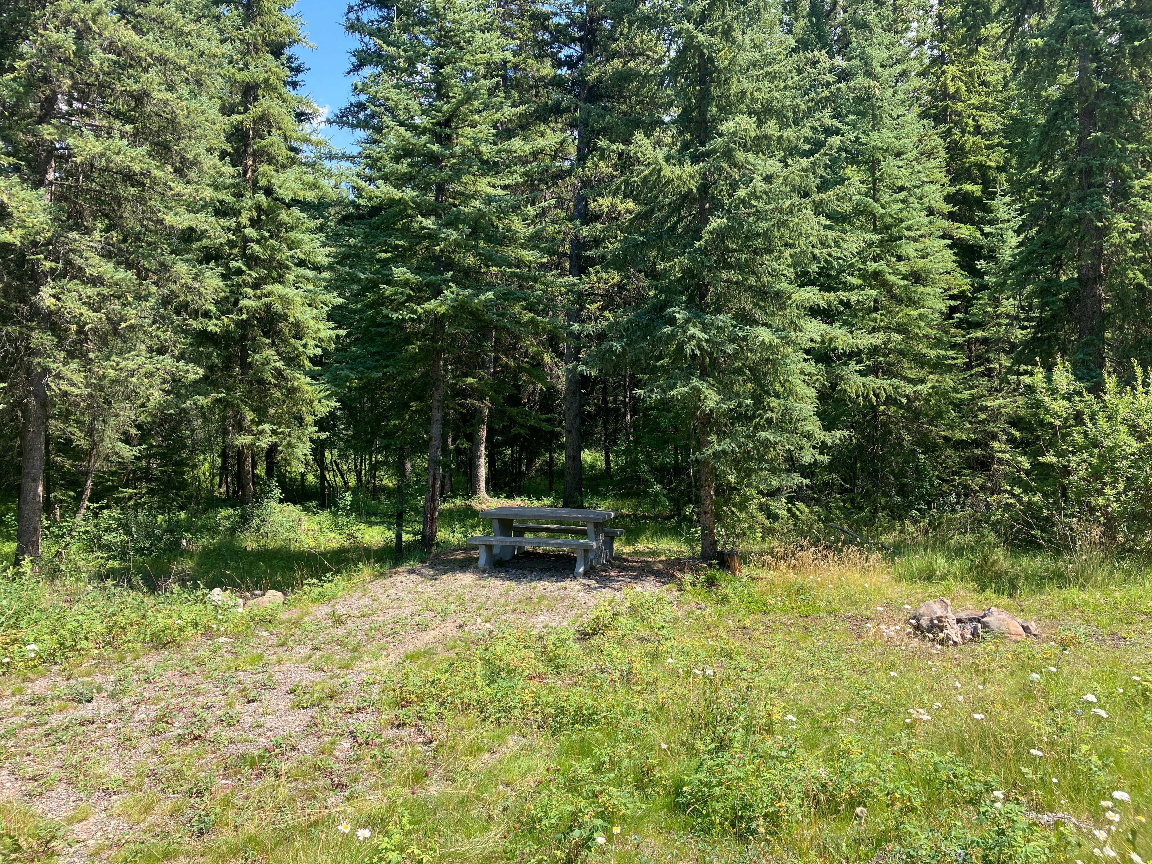 Photo: Recreation Sites and Trails BC. © Province of British Columbia, licensed under the Open Government Licence – British Columbia. Snaking River, photo 4