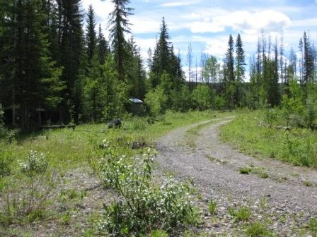 Photo: Recreation Sites and Trails BC. © Province of British Columbia, licensed under the Open Government Licence – British Columbia. Snaking River, photo 6