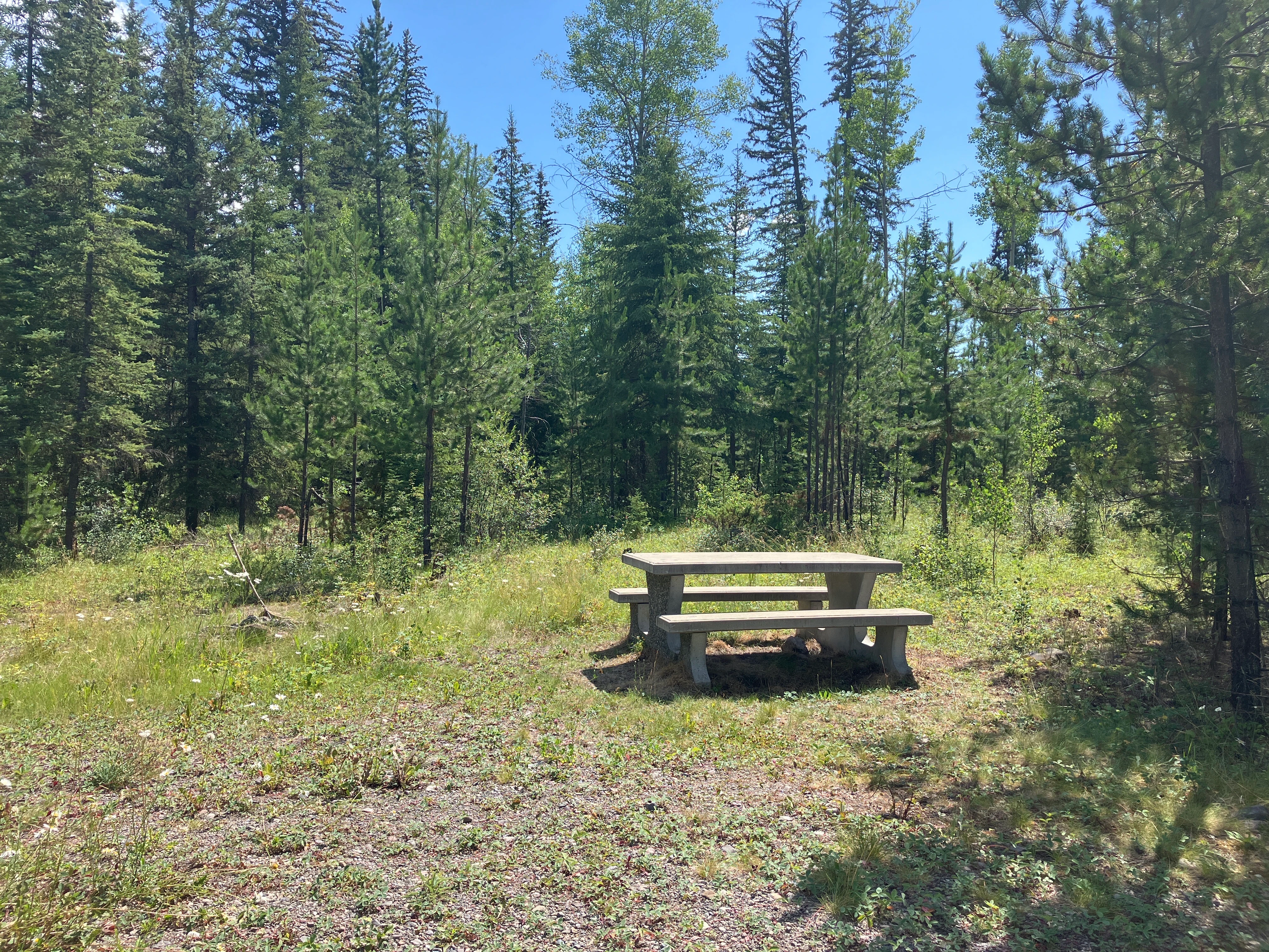 Photo: Recreation Sites and Trails BC. © Province of British Columbia, licensed under the Open Government Licence – British Columbia. Snaking River, photo 3