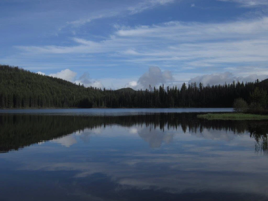 Photo: Recreation Sites and Trails BC. © Province of British Columbia, licensed under the Open Government Licence – British Columbia. No Name Lake, photo 2