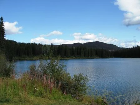 Photo: Recreation Sites and Trails BC. © Province of British Columbia, licensed under the Open Government Licence – British Columbia. Phinetta Lake, photo 2