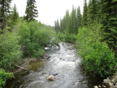 Photo: Recreation Sites and Trails BC. © Province of British Columbia, licensed under the Open Government Licence – British Columbia. Bonaparte River Bridge, photo 2