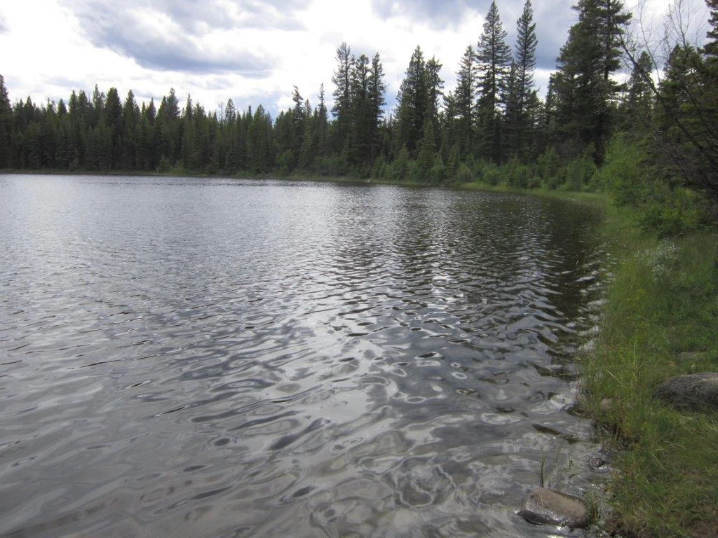 Photo: Recreation Sites and Trails BC. © Province of British Columbia, licensed under the Open Government Licence – British Columbia. Boar Lake