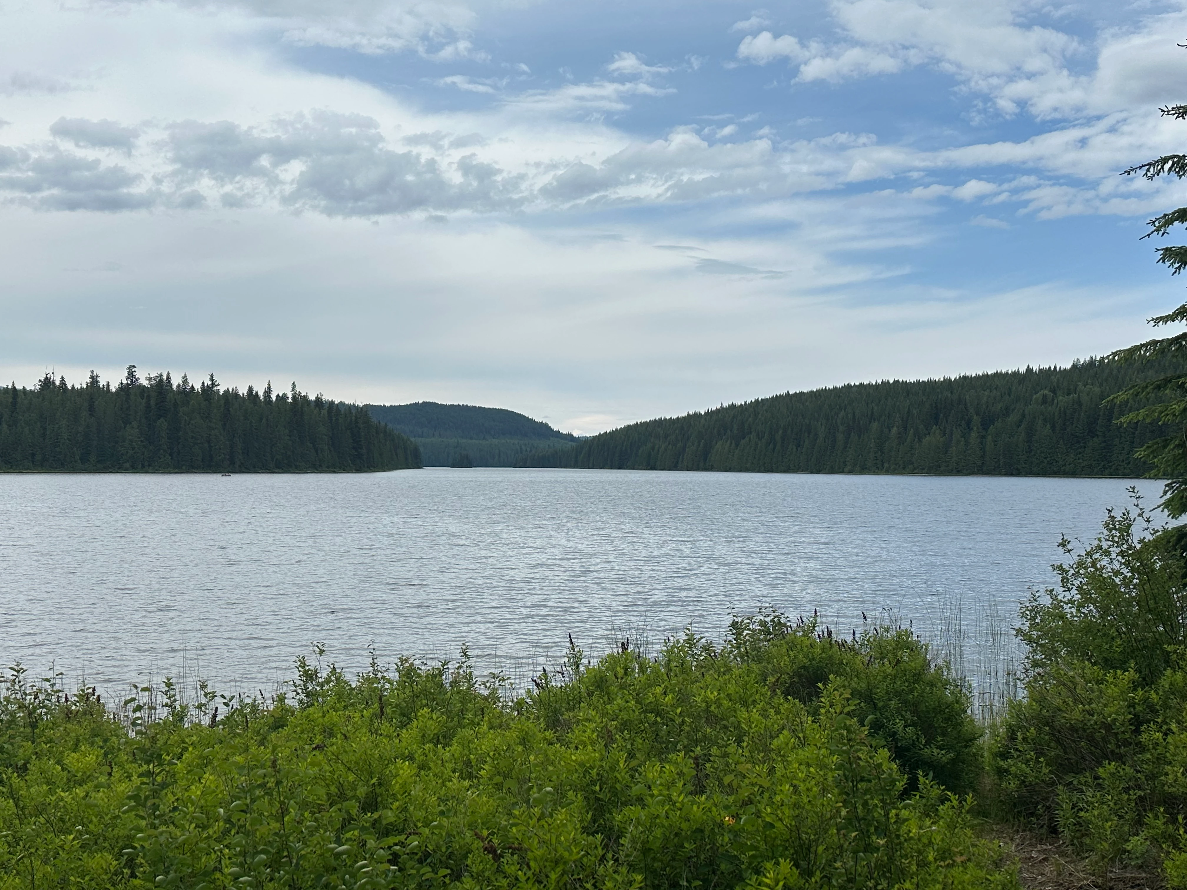 Photo: Recreation Sites and Trails BC. © Province of British Columbia, licensed under the Open Government Licence – British Columbia. Hen Ingram Lake, photo 6